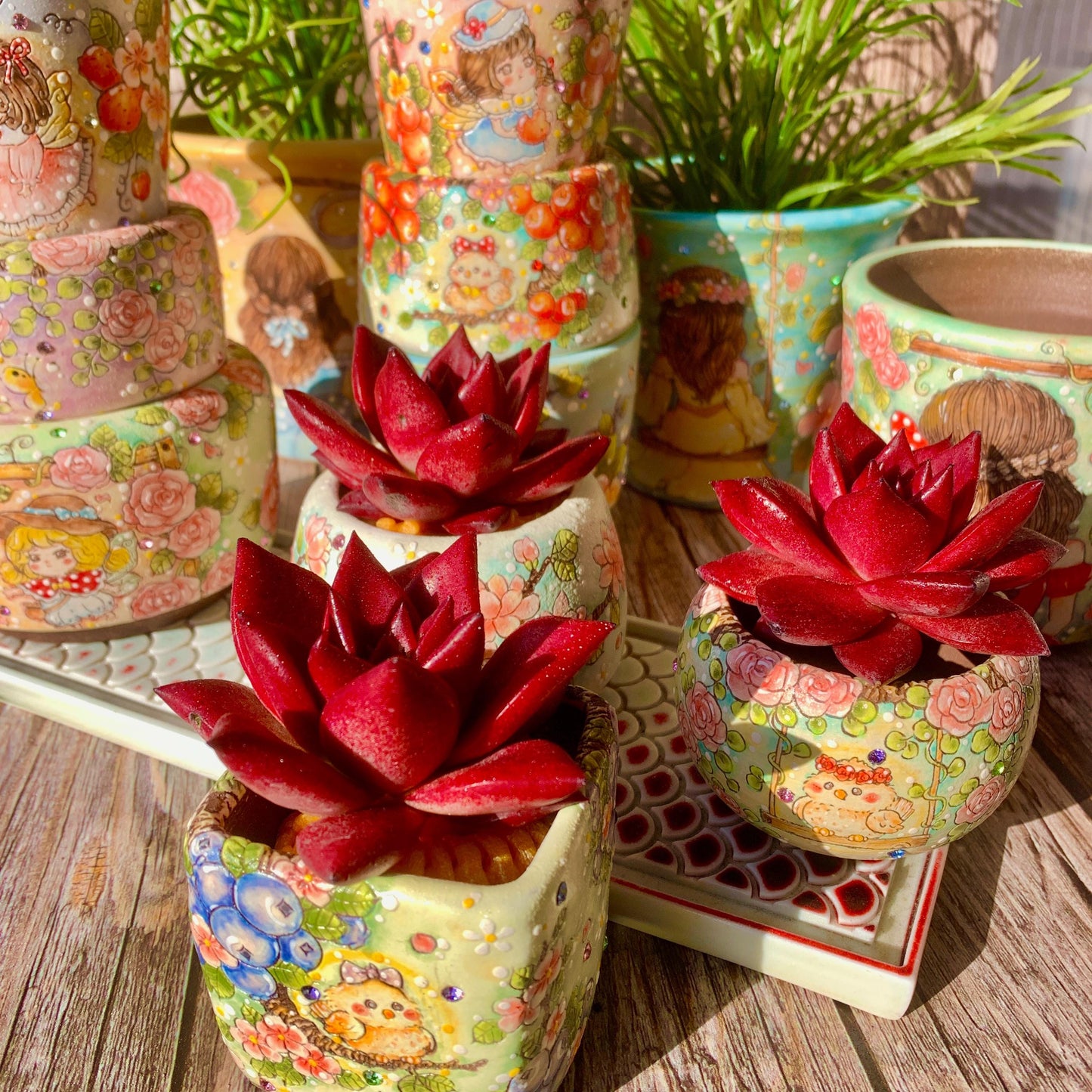 Boutique Rare Succulents/Echeveria Agavoides v Romeo Rubin 1 Head 2.5"/Imported Live Succulent Plants/Bare Root Without Soil Pot/Plants Gift