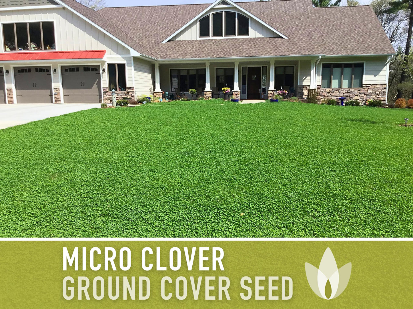 Bulk Micro Clover (Mini) Ground Cover Seeds - 5,000+ White Clover Seeds, .5 oz, Lawn Alternative, Drought Tolerant, Erosion Control, Non-GMO