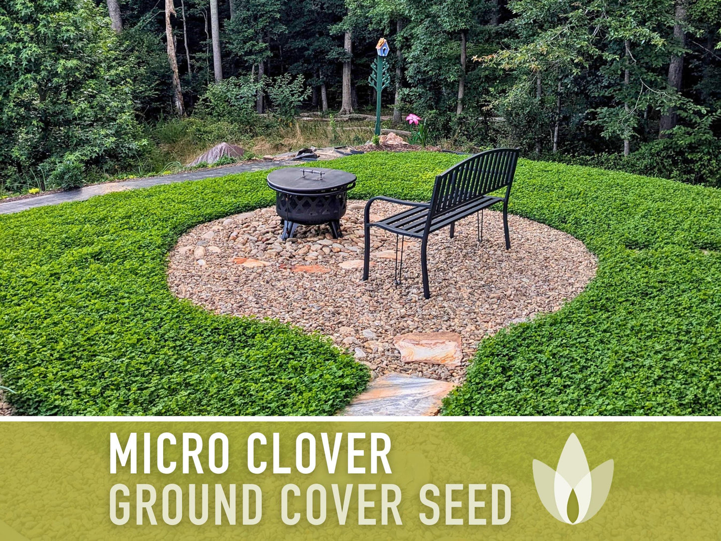 Bulk Micro Clover (Mini) Ground Cover Seeds - 5,000+ White Clover Seeds, .5 oz, Lawn Alternative, Drought Tolerant, Erosion Control, Non-GMO