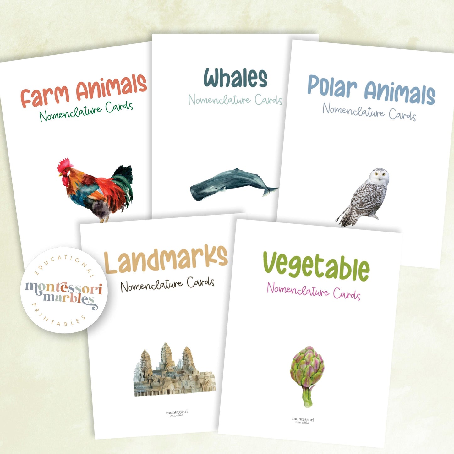 MEGA BUNDLE Montessori Nomenclature Cards | Educational Vocabulary Cards | Preschool Kindergarten | 15 Themes