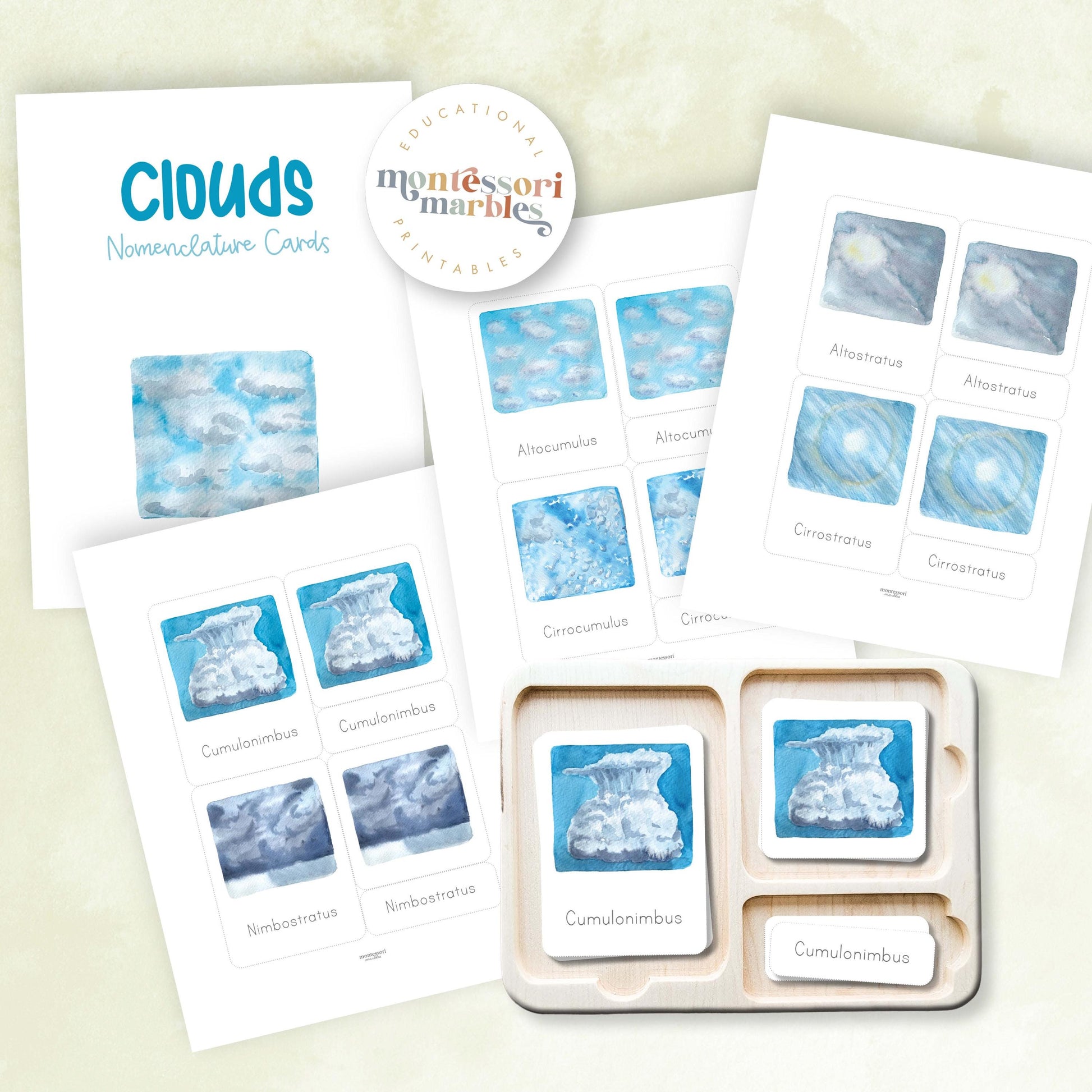 MEGA BUNDLE Montessori Nomenclature Cards | Educational Vocabulary Cards | Preschool Kindergarten | 15 Themes