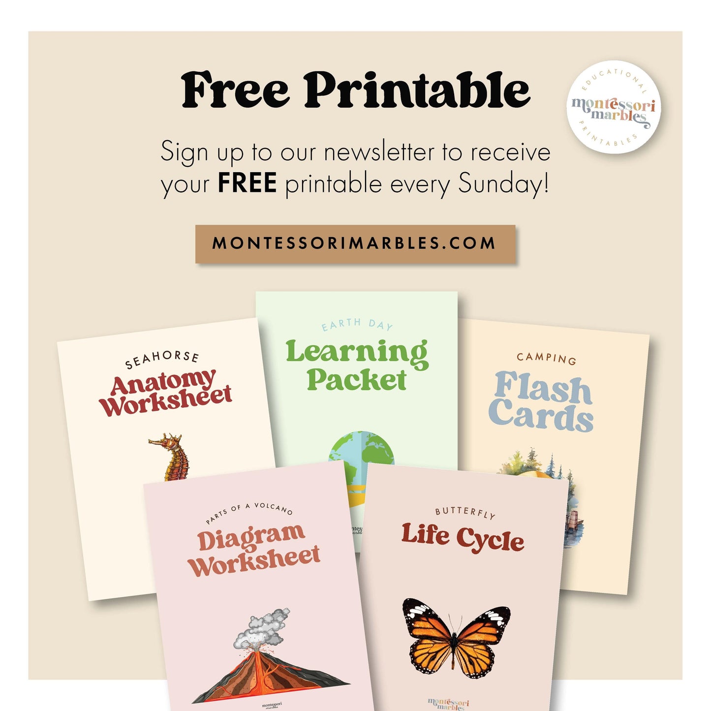 MEGA BUNDLE Montessori Nomenclature Cards | Educational Vocabulary Cards | Preschool Kindergarten | 15 Themes