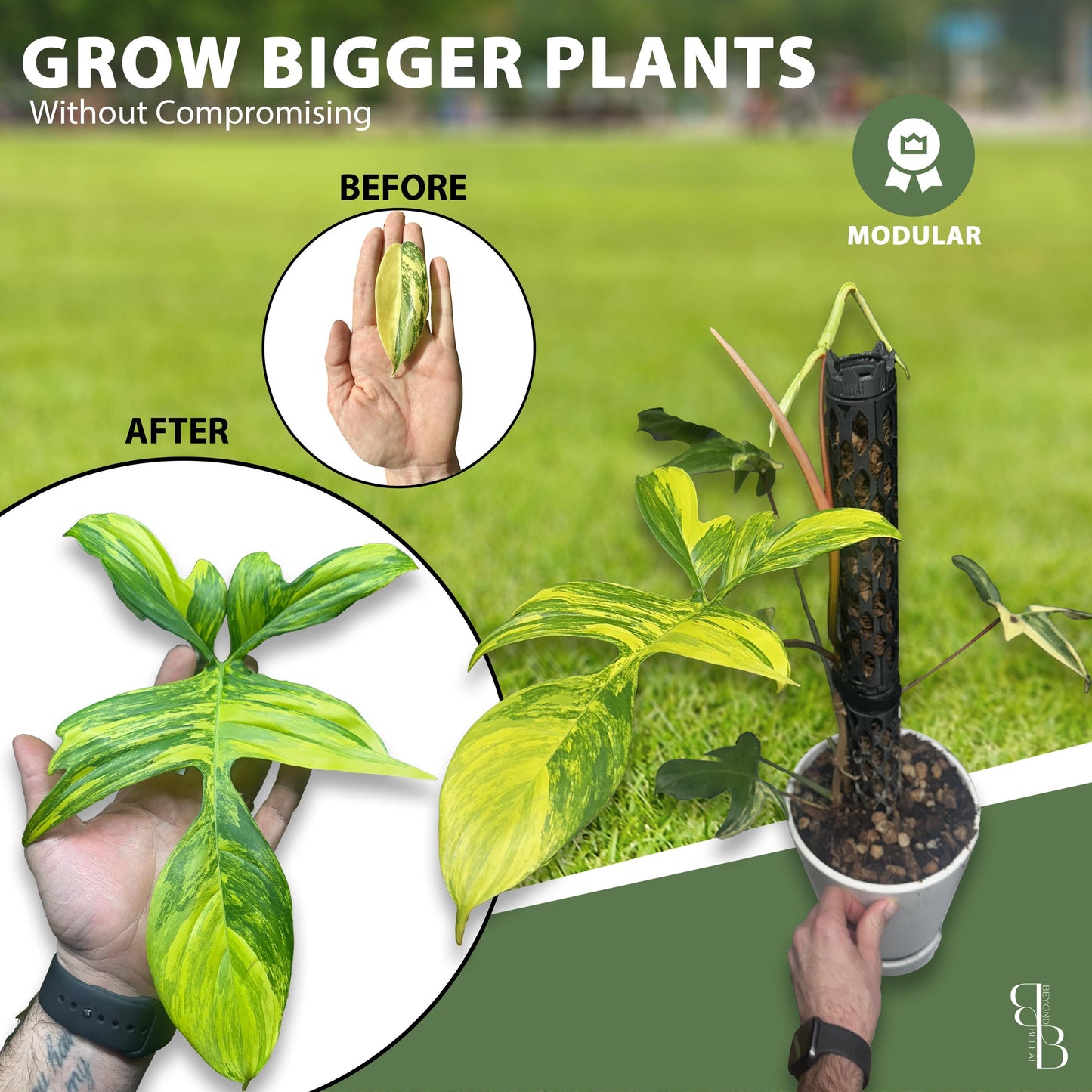 Professional Moss Pole Kit | Extendable Self-Watering Plant Support for Monstera & Climbing Plants | Plant Accessories