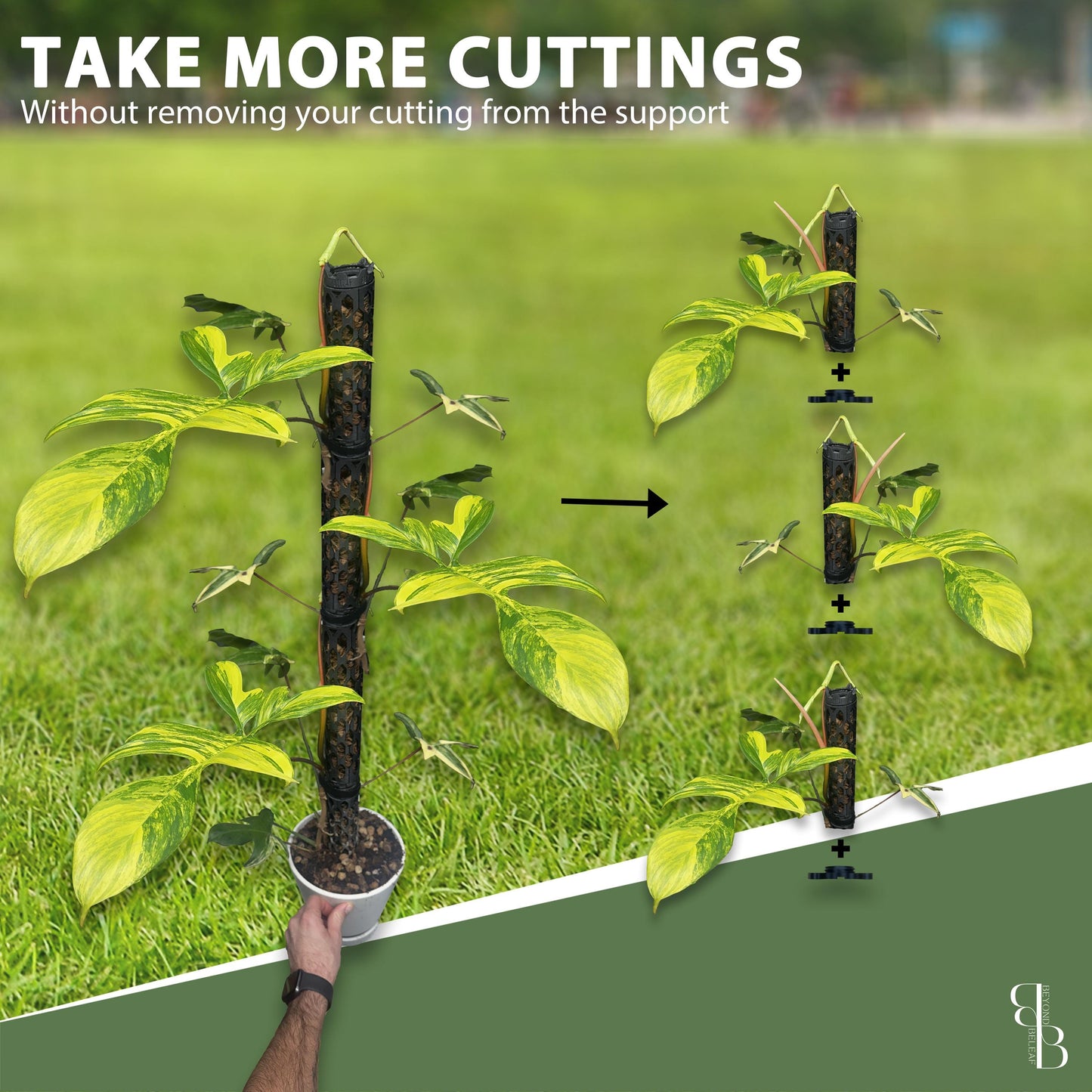 Professional Moss Pole Kit | Extendable Self-Watering Plant Support for Monstera & Climbing Plants | Plant Accessories