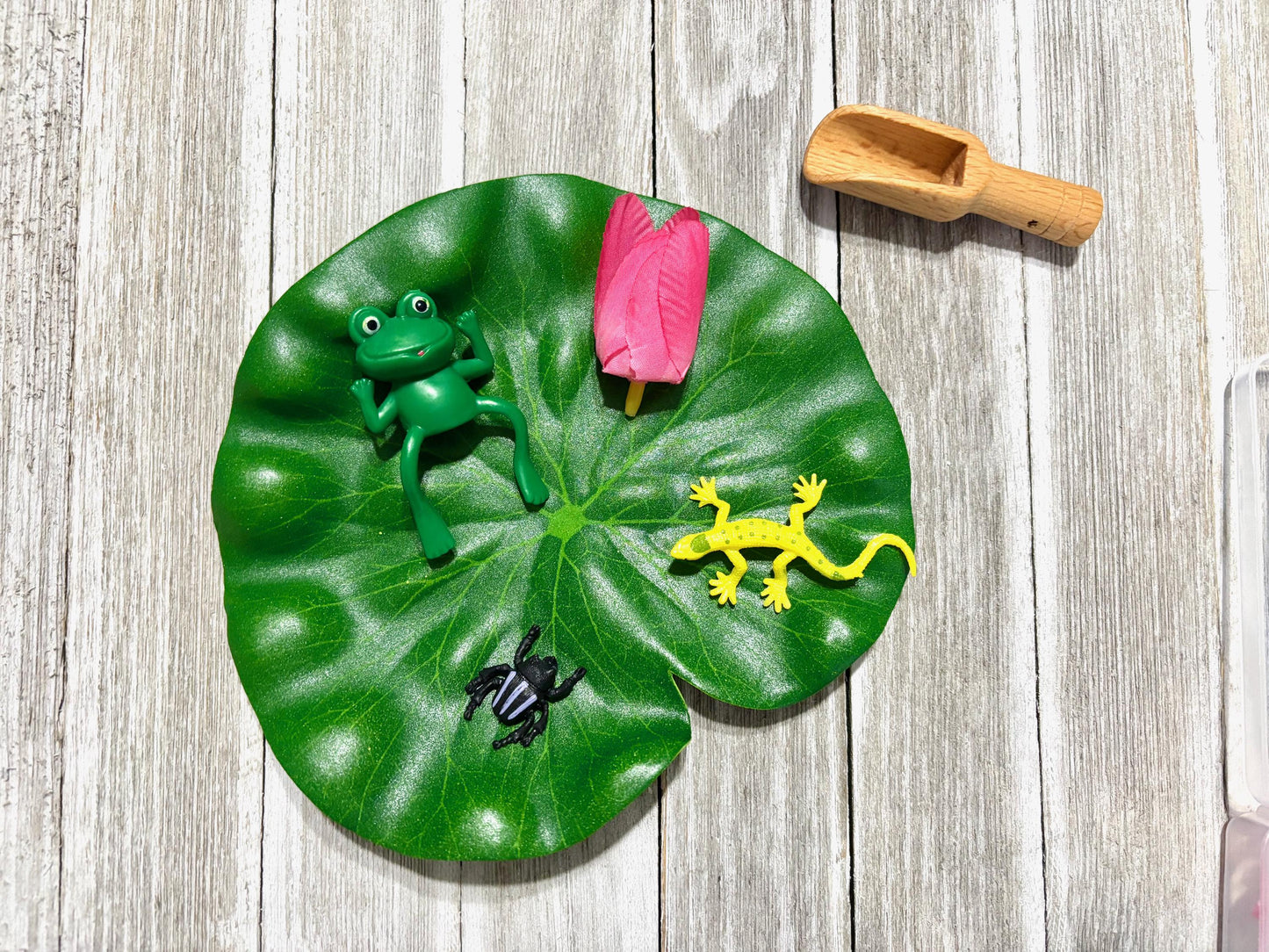 Frog Sensory Kit: Five Speckled Frogs, Water Play