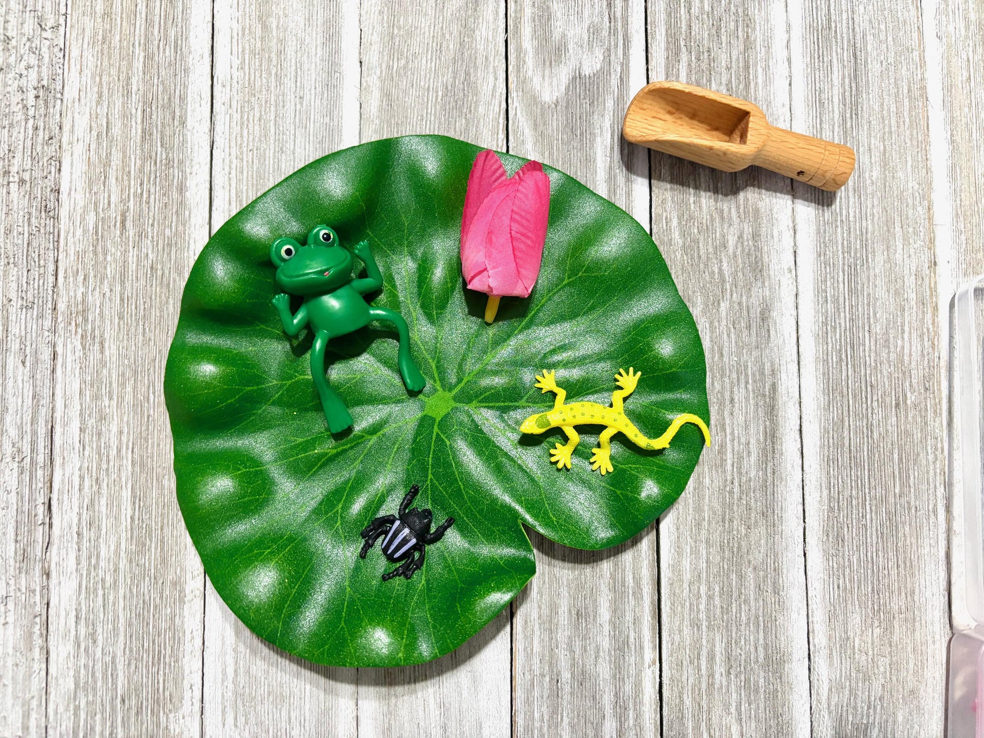 Frog Sensory Kit: Five Speckled Frogs, Water Play