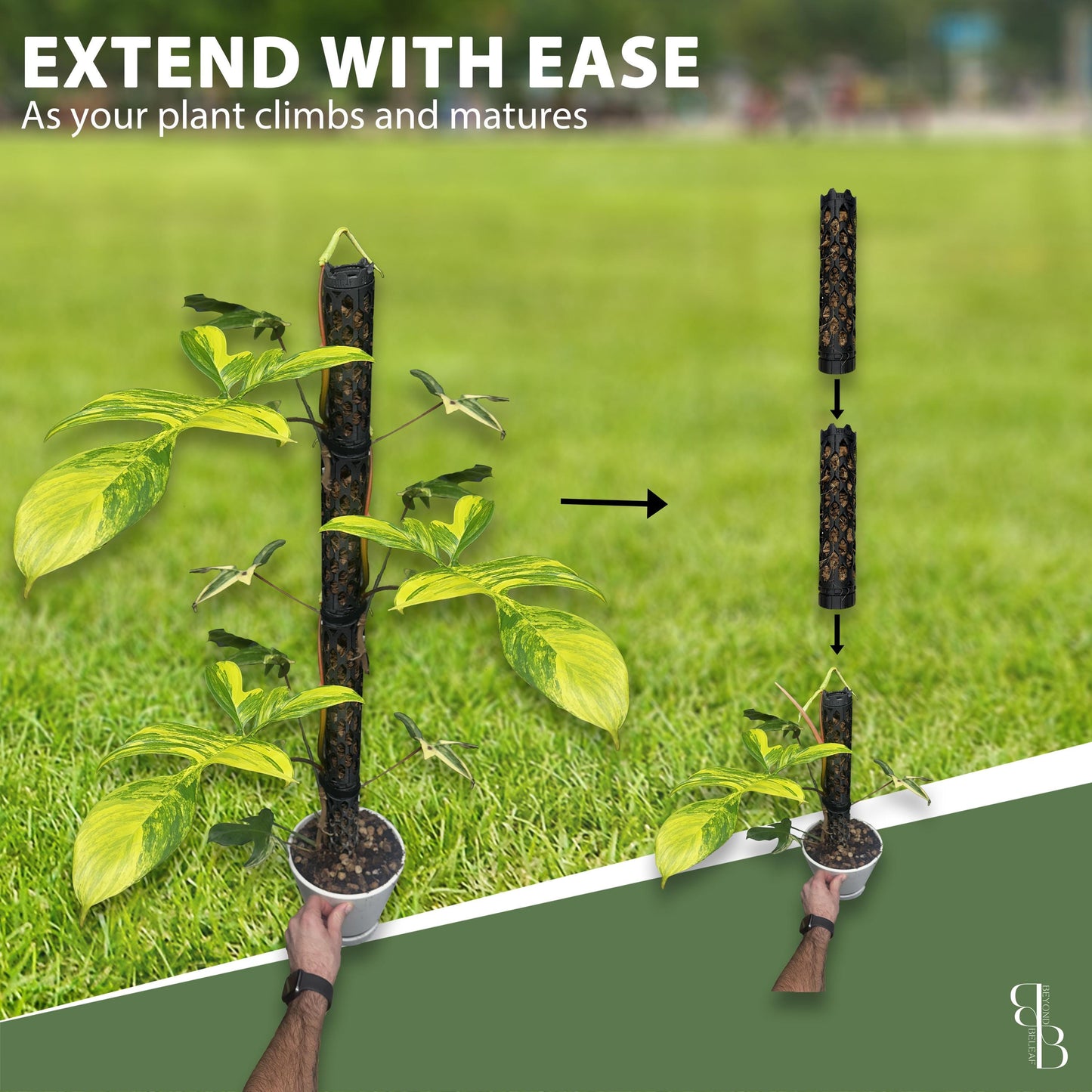 Professional Moss Pole Kit | Extendable Self-Watering Plant Support for Monstera & Climbing Plants | Plant Accessories