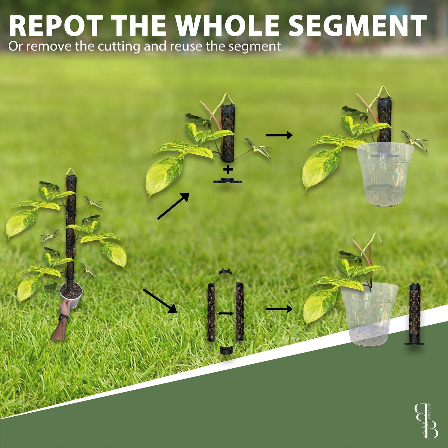 Professional Moss Pole Kit | Extendable Self-Watering Plant Support for Monstera & Climbing Plants | Plant Accessories