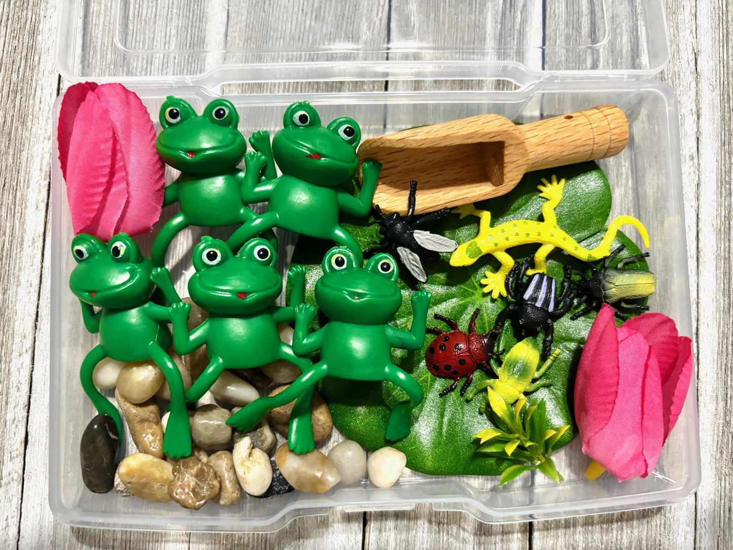 Frog Sensory Kit: Five Speckled Frogs, Water Play