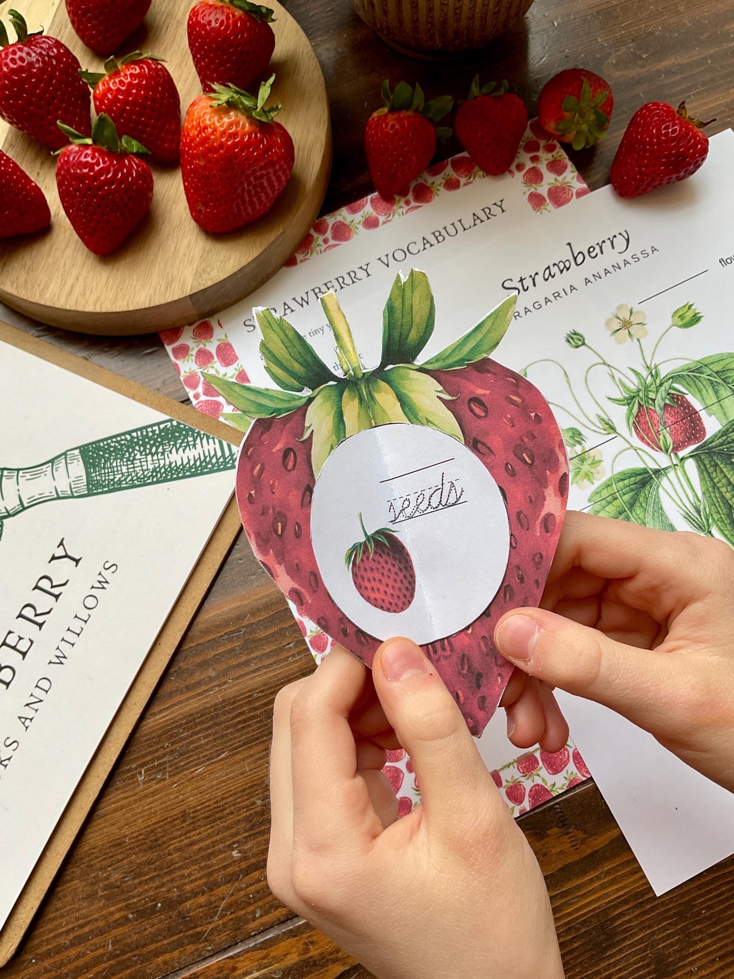 Strawberry Unit - Looking Glass Nature Study | Summer Unit | Homeschool Printable