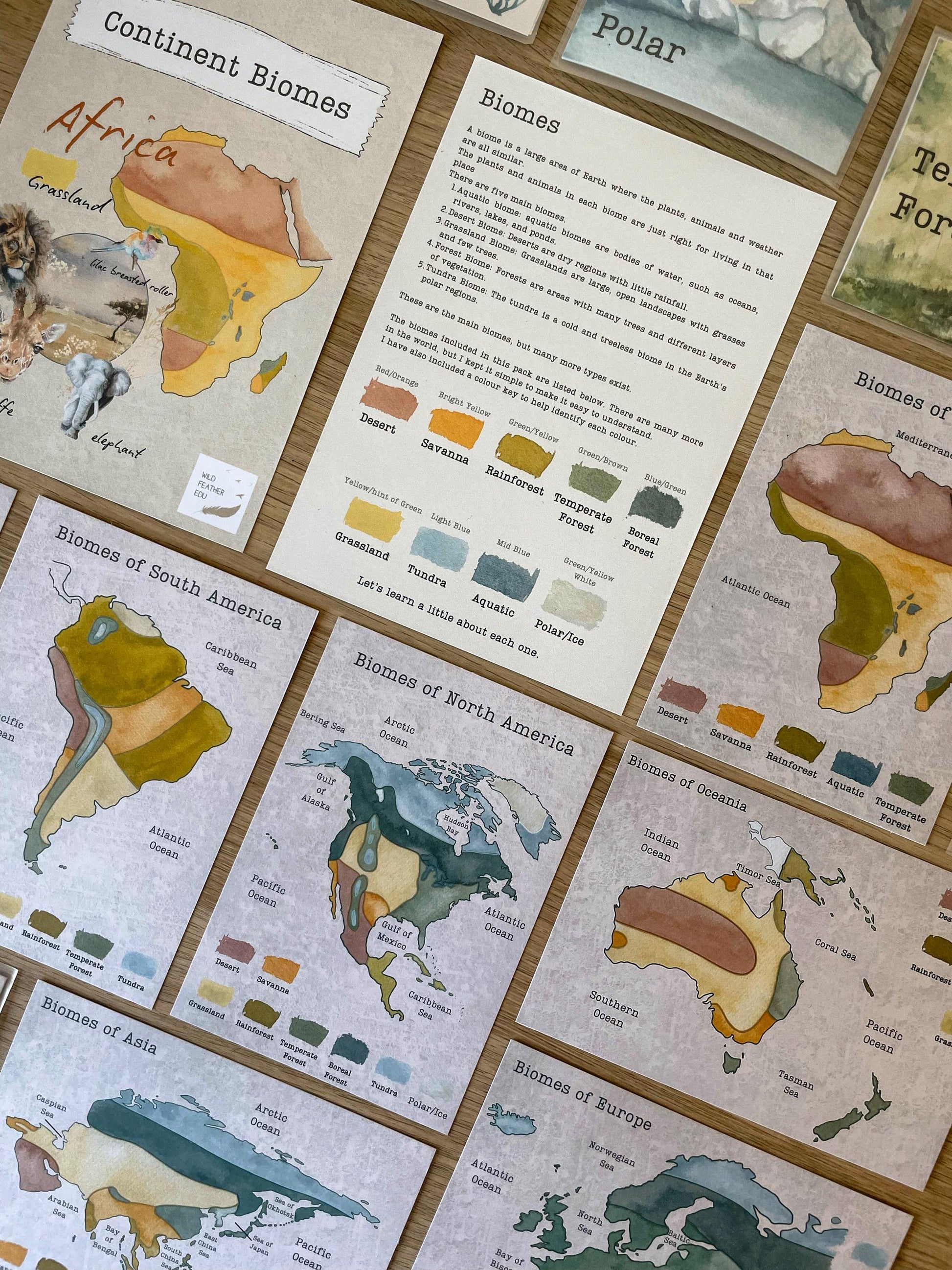 DIGITAL Continent biomes maps, homeschool, waldorf, montessori