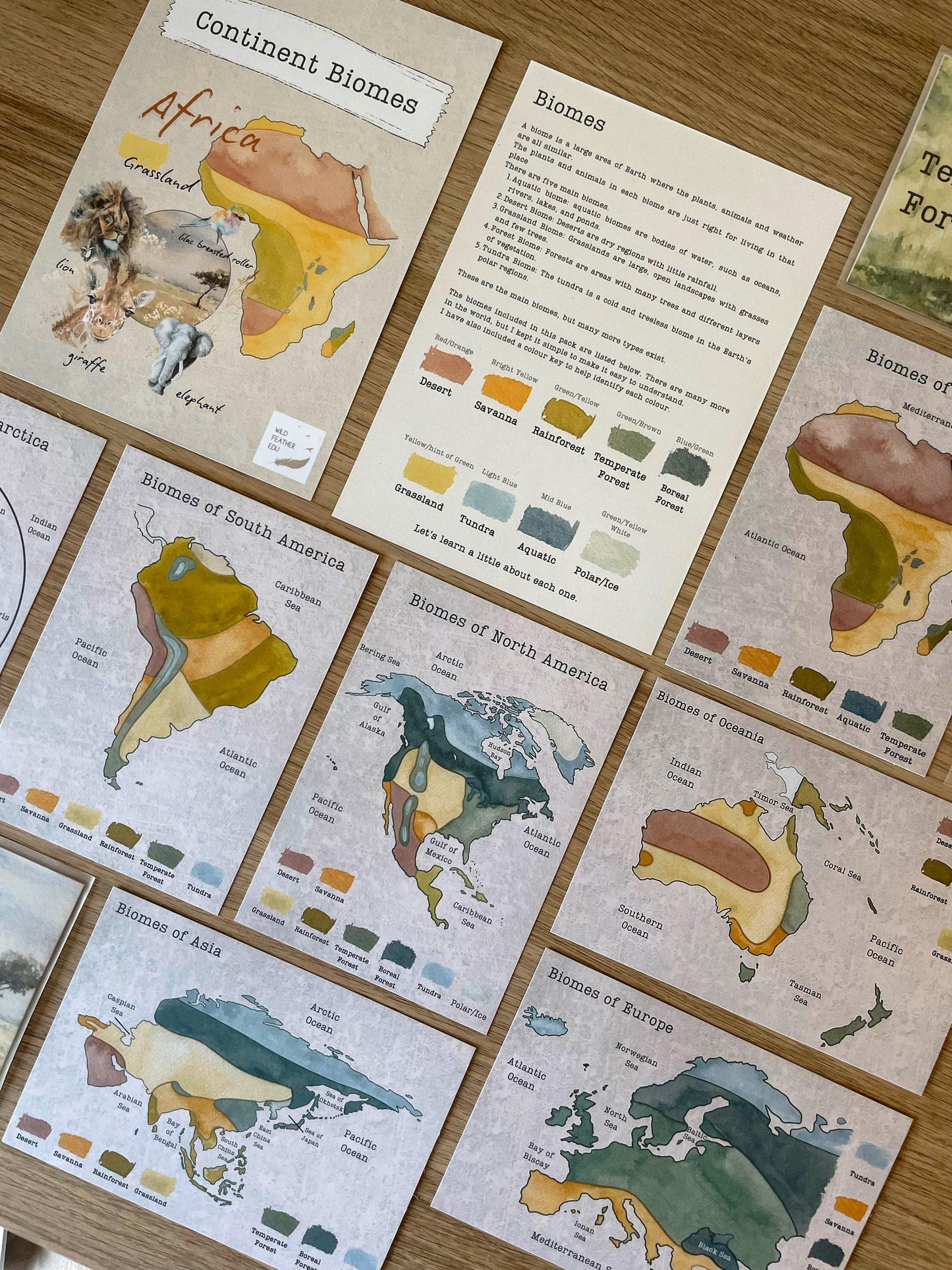 DIGITAL Continent biomes maps, homeschool, waldorf, montessori