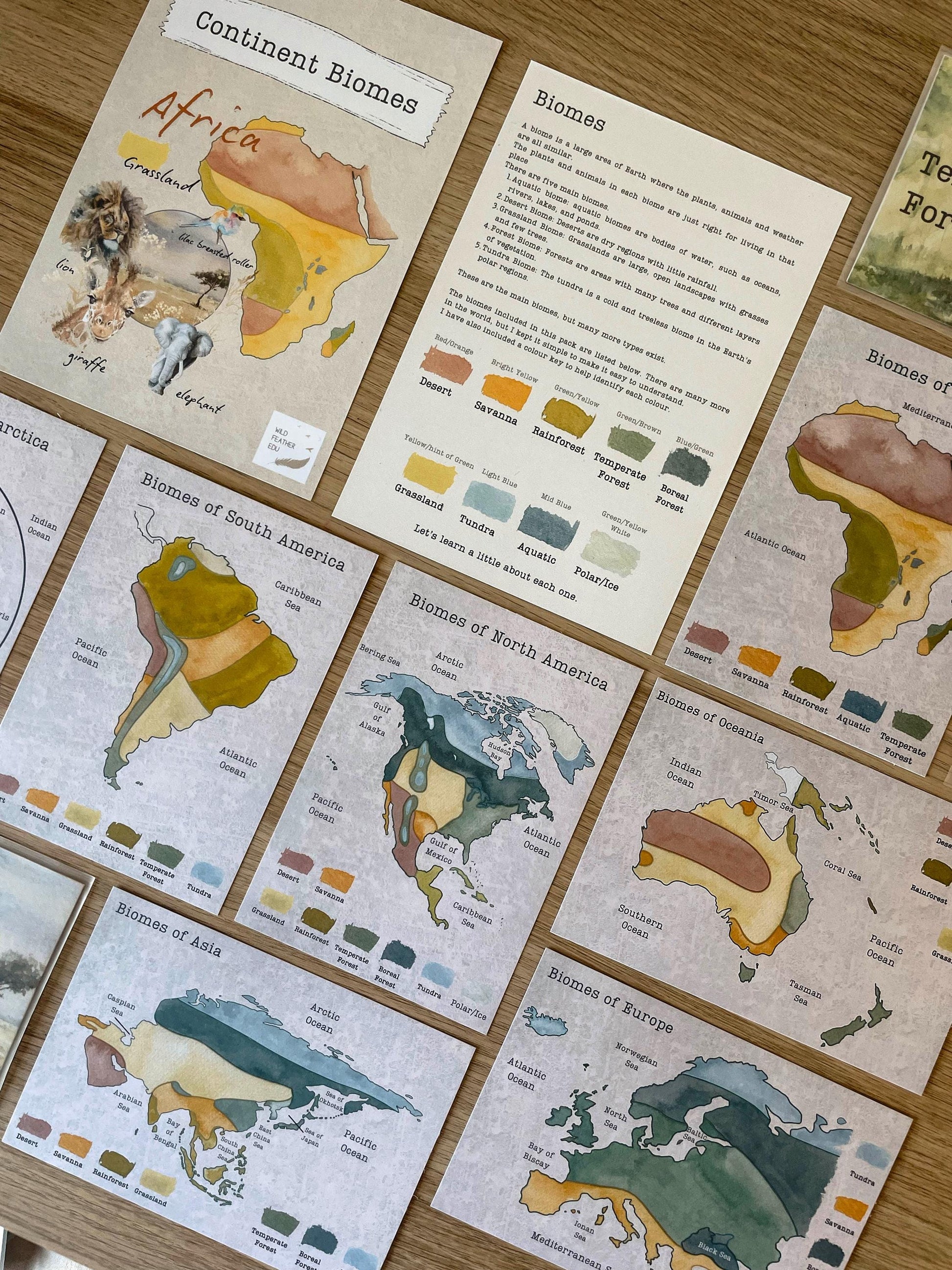 DIGITAL Continent biomes maps, homeschool, waldorf, montessori