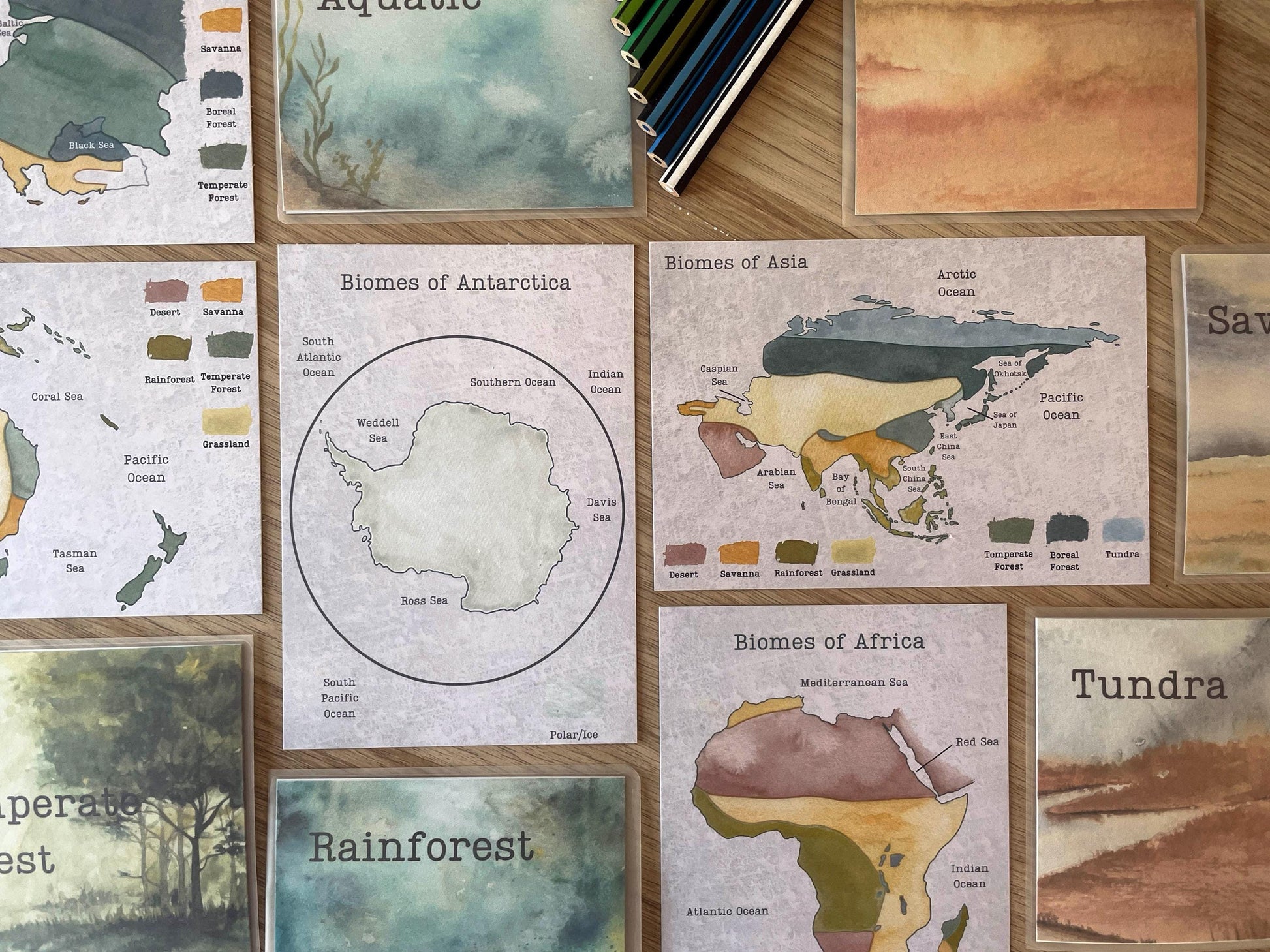 DIGITAL Continent biomes maps, homeschool, waldorf, montessori