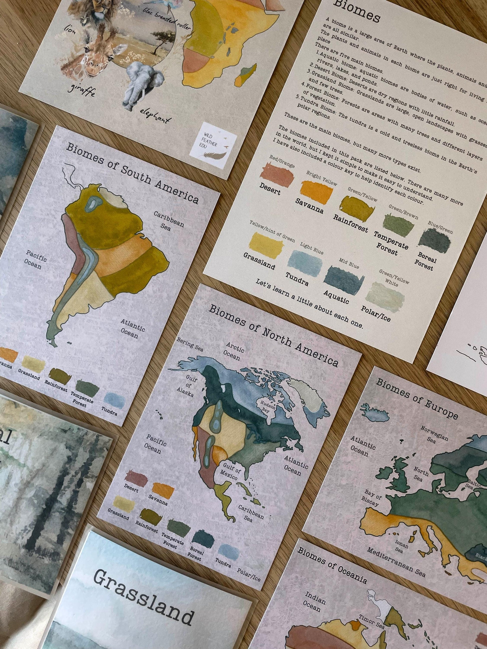 DIGITAL Continent biomes maps, homeschool, waldorf, montessori