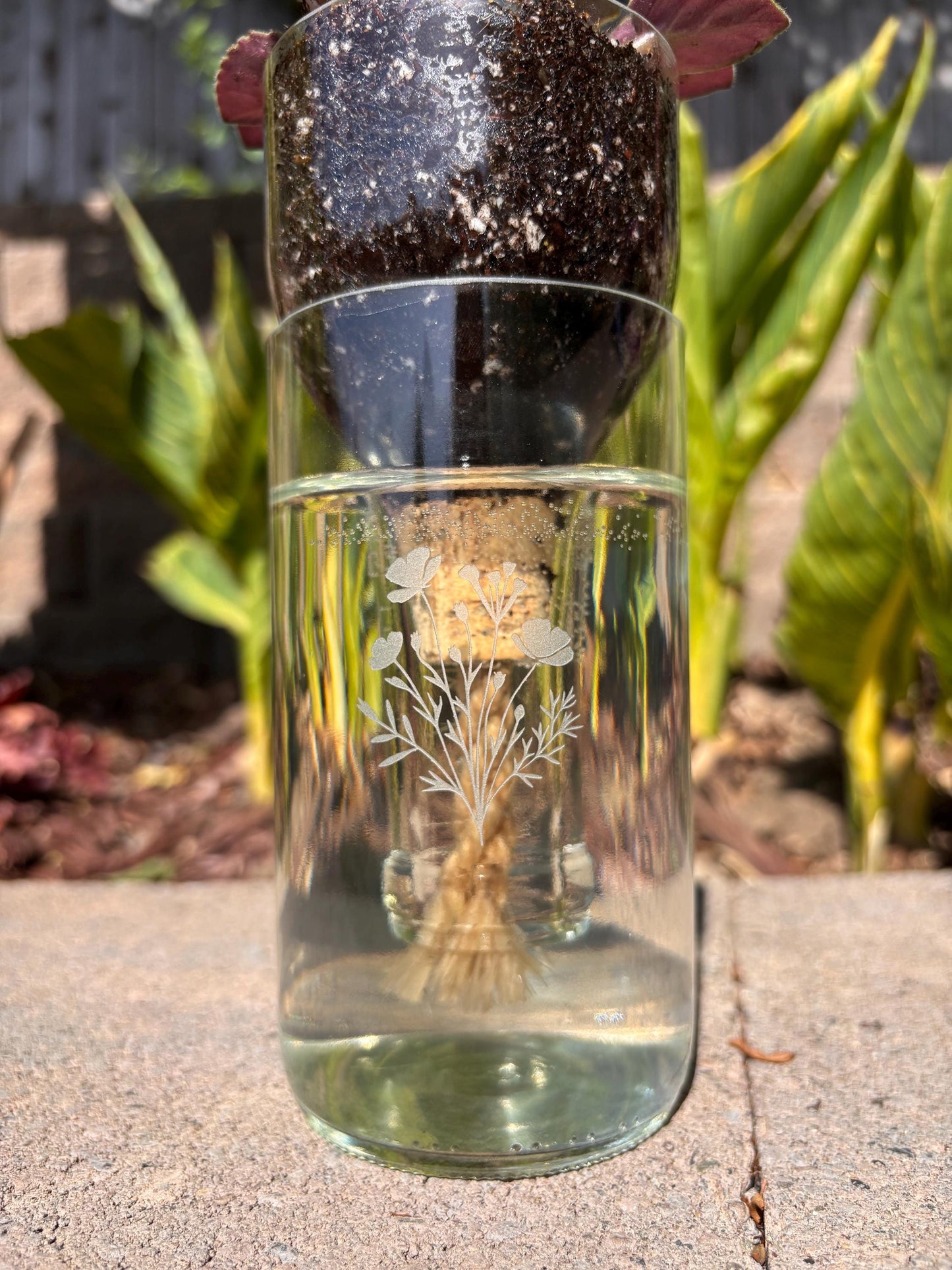Etched African Violet Wine Bottle Hydro Planter (1) One - (Self Watering) Eco Friendly, Grow Indoors, Eco Planter, DIY Planter Kit