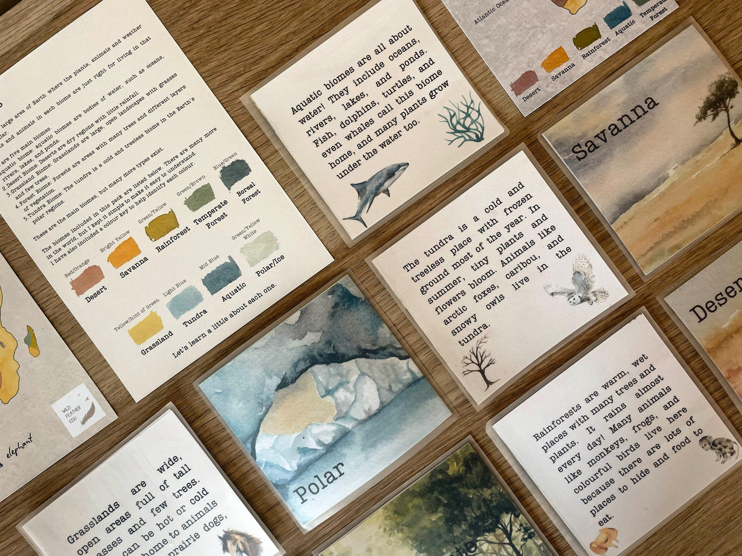 DIGITAL Continent biomes maps, homeschool, waldorf, montessori