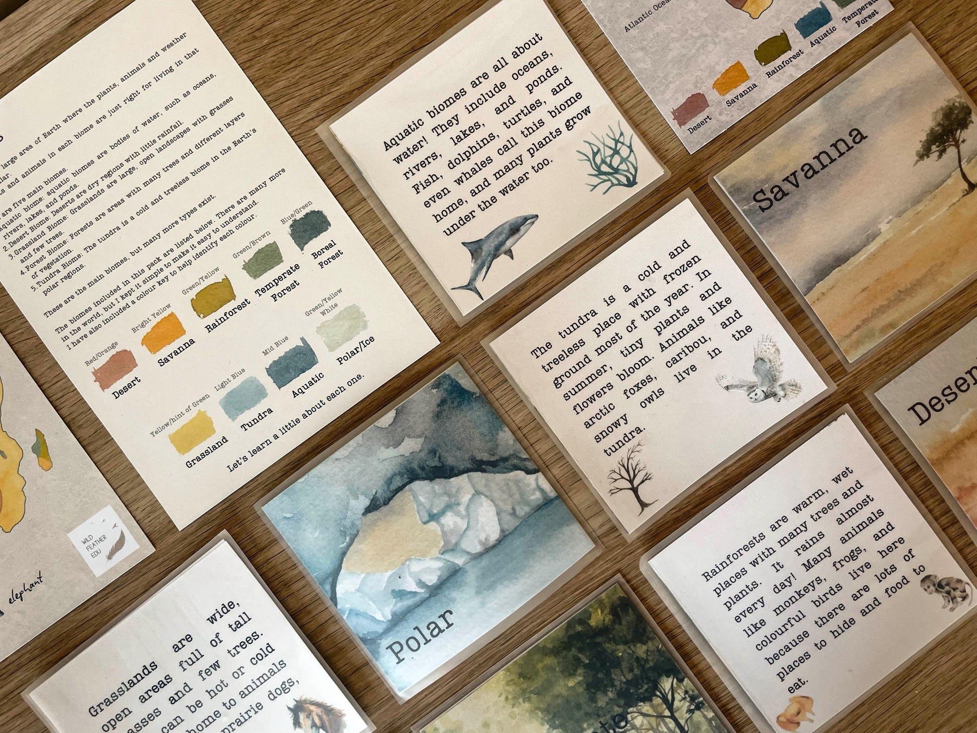 DIGITAL Continent biomes maps, homeschool, waldorf, montessori