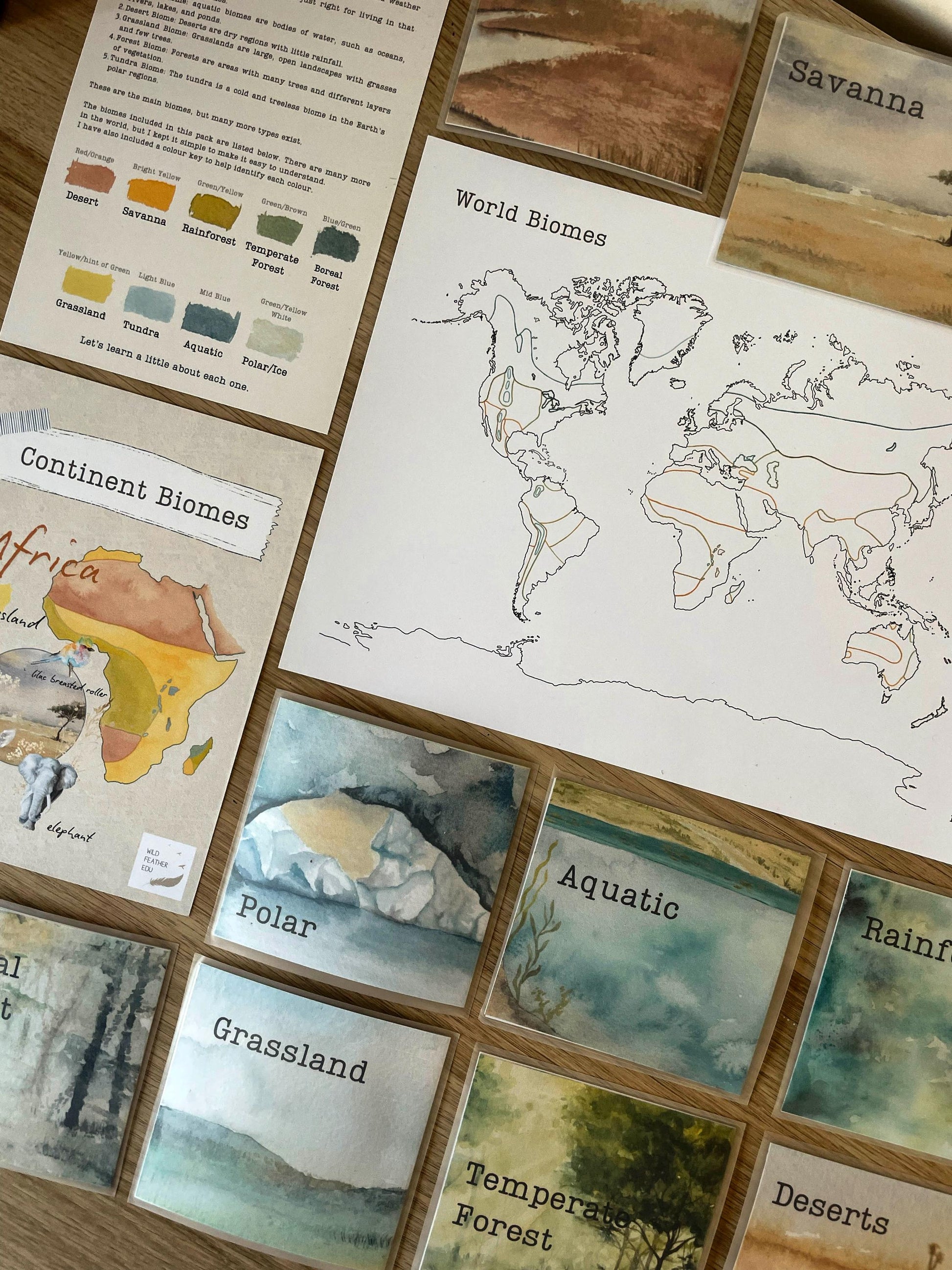 DIGITAL Continent biomes maps, homeschool, waldorf, montessori
