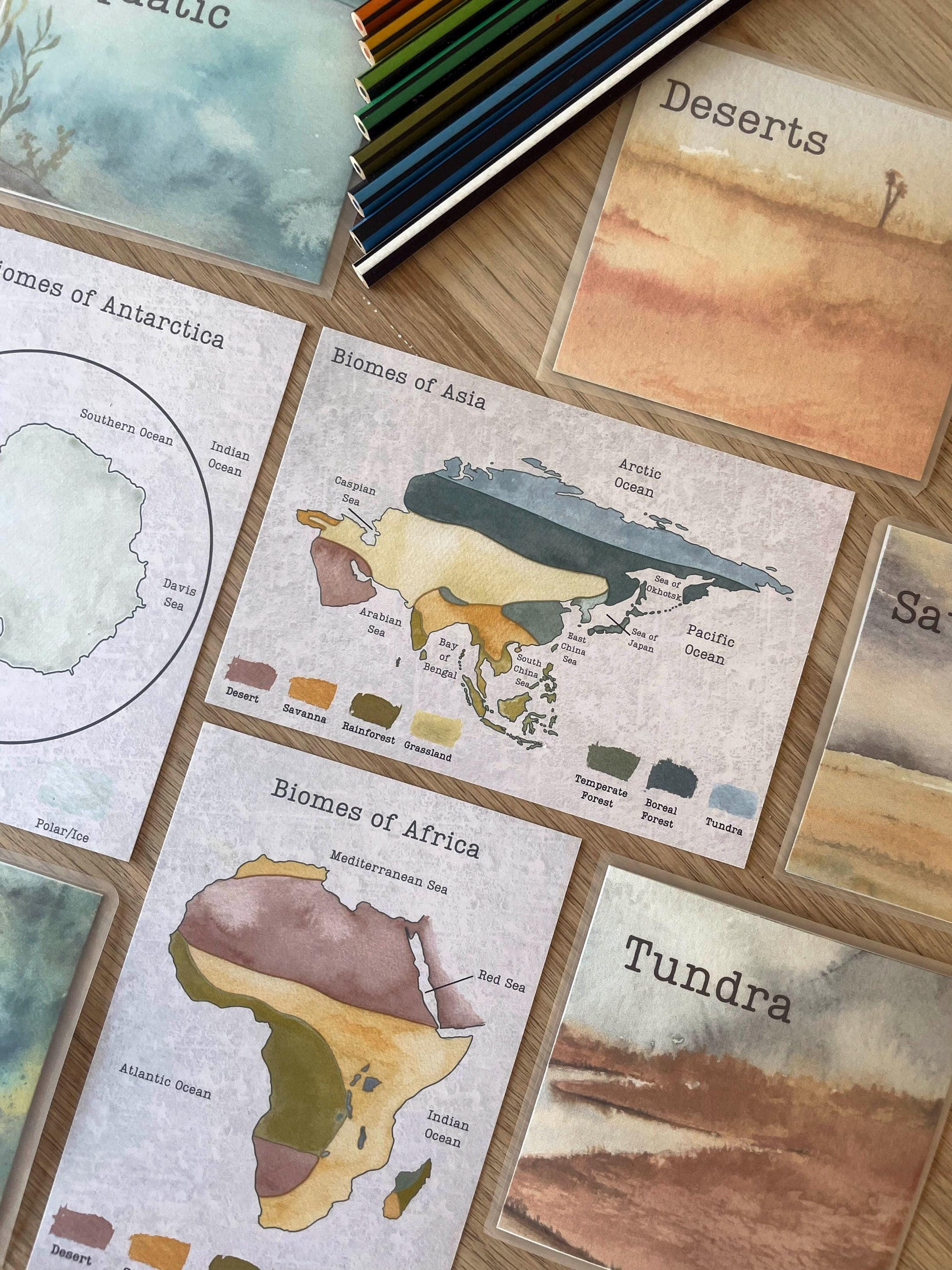 DIGITAL Continent biomes maps, homeschool, waldorf, montessori