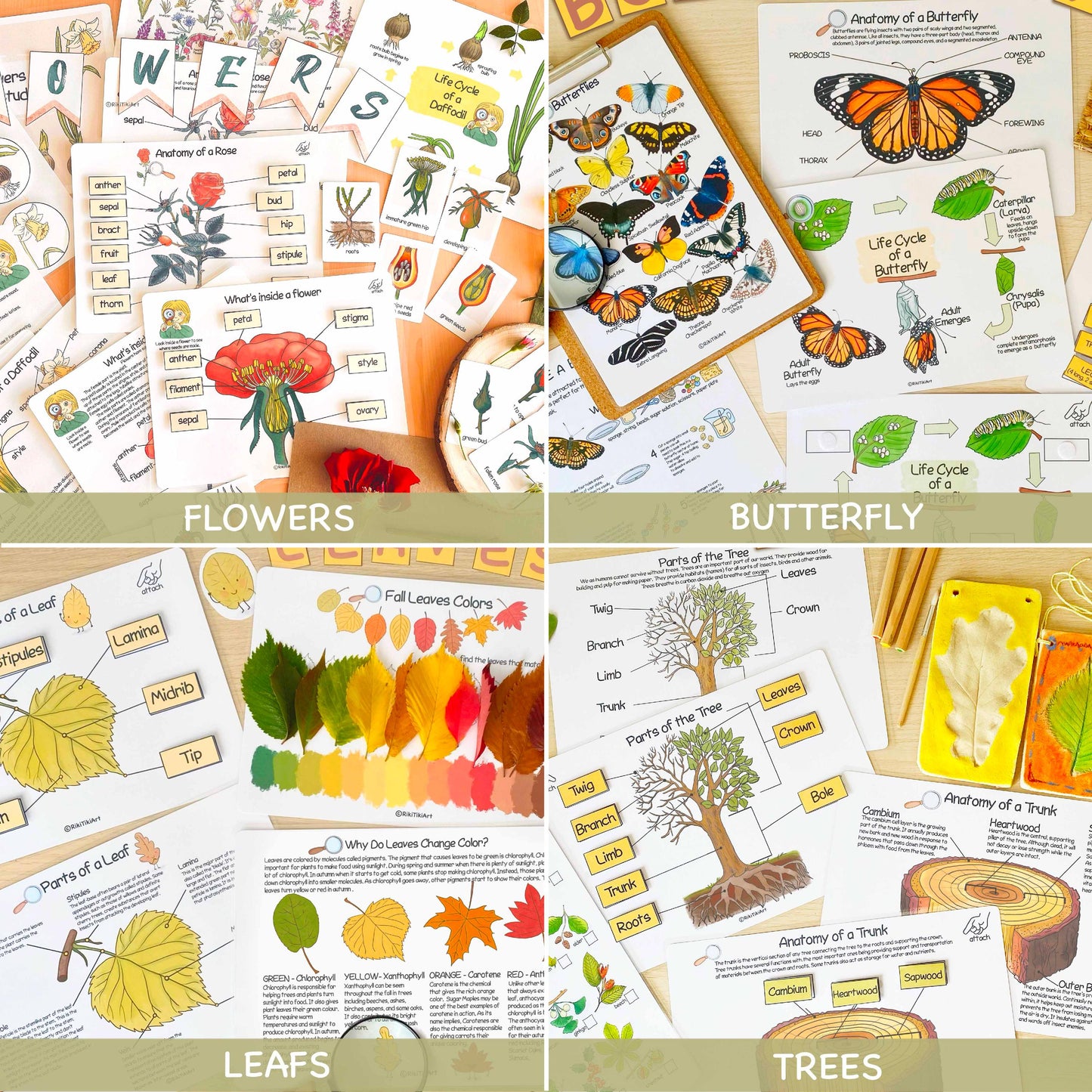 26 Unit Studies MEGA BUNDLE Homeschool Printable Charlotte Mason Toddler Busy Book Toddler Activities Nature Study Preschool Curriculum