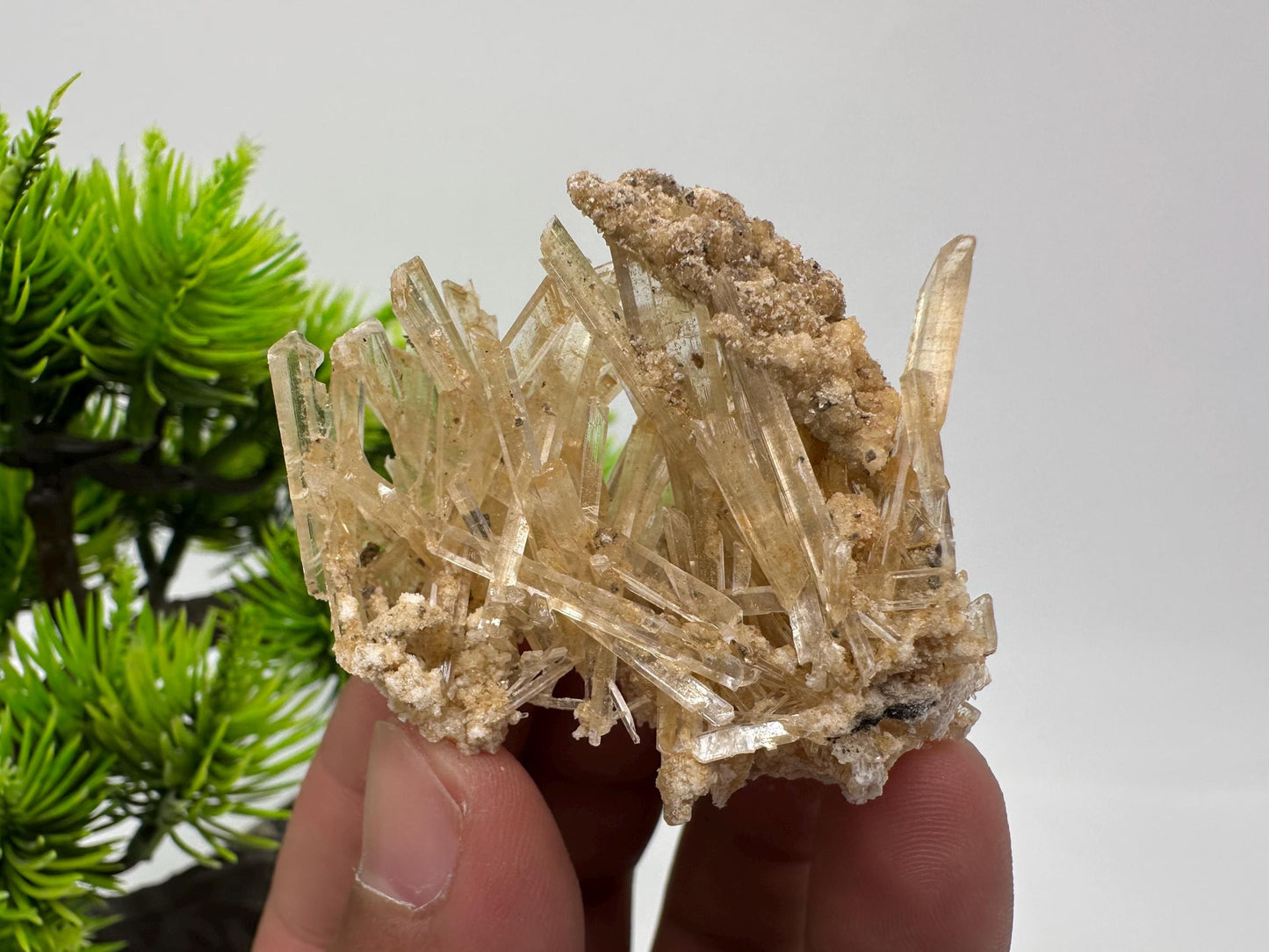 Stunning Gypsum var. Selenite,from Rudna Mine,Poland,Brown Gypsum Selenite,selenite crystal,gypsum,mineral specimen,collection,collectibles