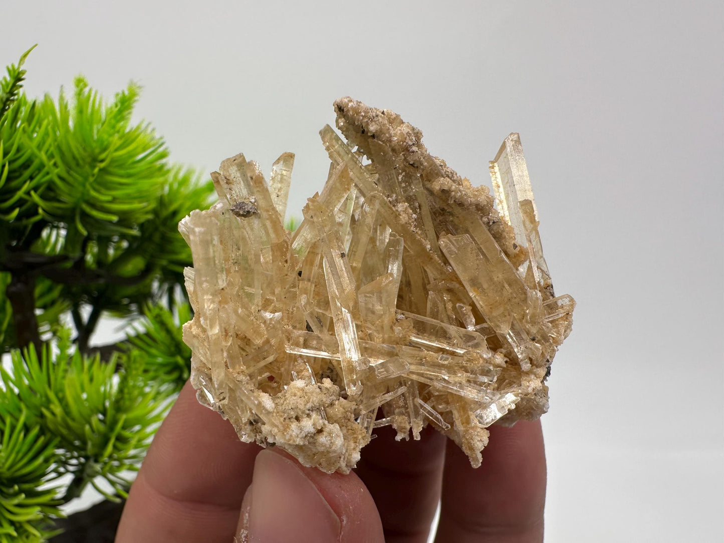 Stunning Gypsum var. Selenite,from Rudna Mine,Poland,Brown Gypsum Selenite,selenite crystal,gypsum,mineral specimen,collection,collectibles