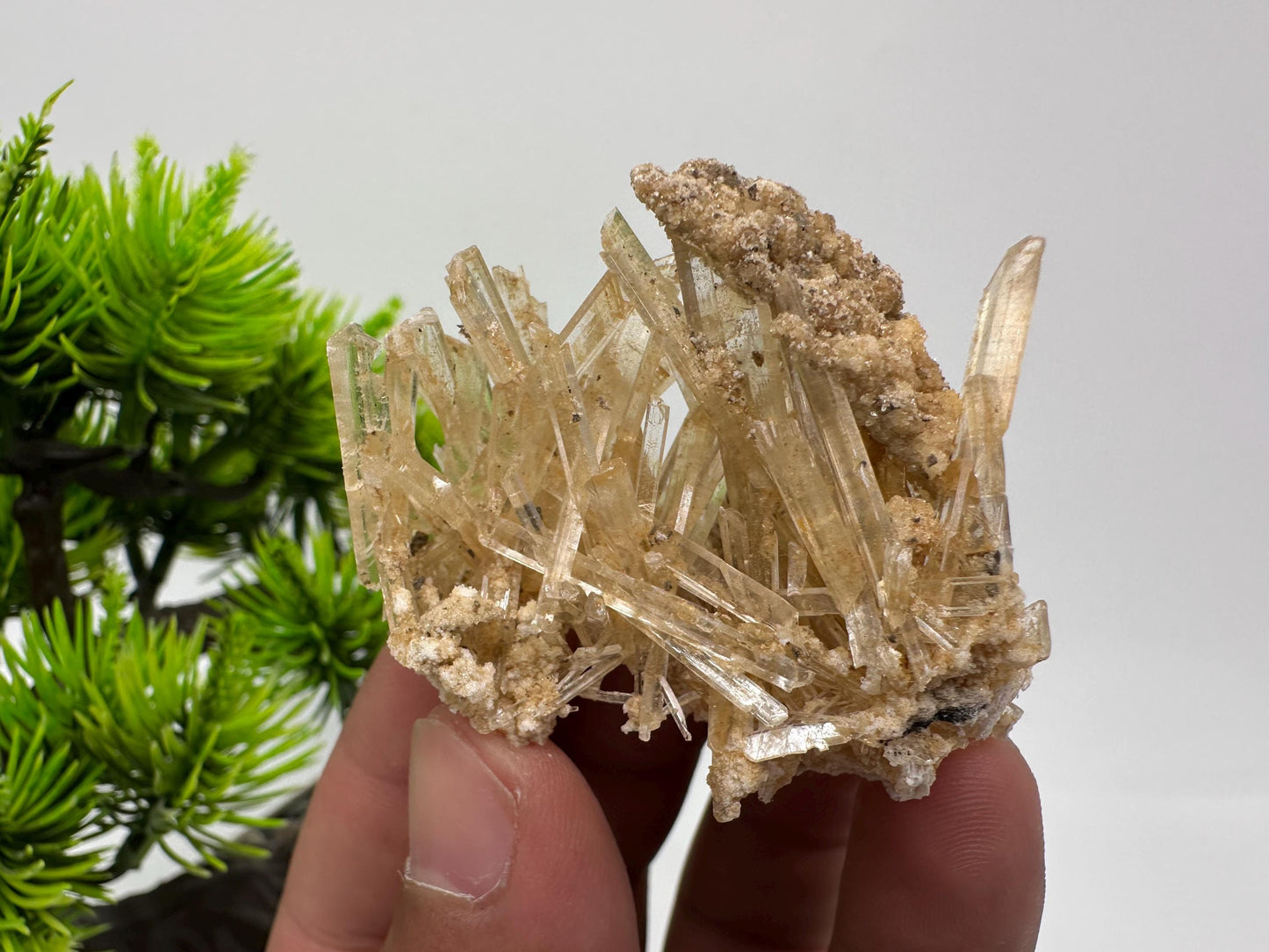 Stunning Gypsum var. Selenite,from Rudna Mine,Poland,Brown Gypsum Selenite,selenite crystal,gypsum,mineral specimen,collection,collectibles
