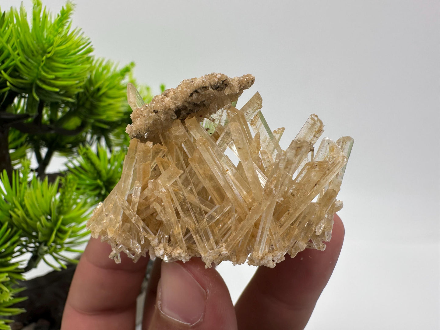 Stunning Gypsum var. Selenite,from Rudna Mine,Poland,Brown Gypsum Selenite,selenite crystal,gypsum,mineral specimen,collection,collectibles
