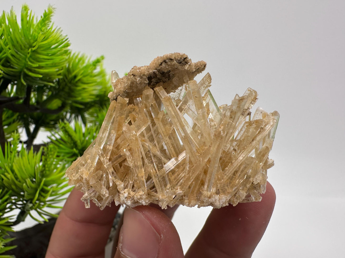 Stunning Gypsum var. Selenite,from Rudna Mine,Poland,Brown Gypsum Selenite,selenite crystal,gypsum,mineral specimen,collection,collectibles