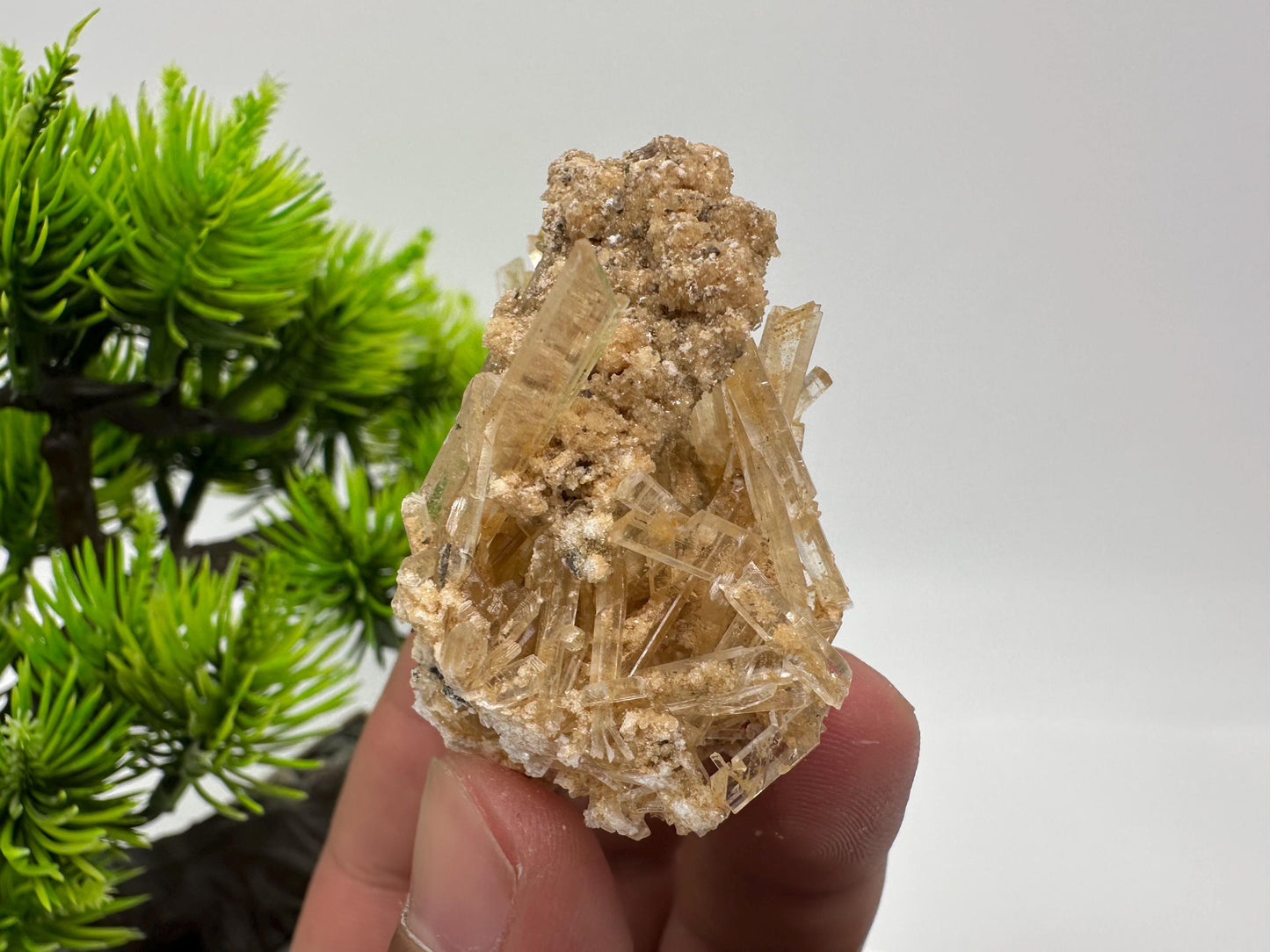 Stunning Gypsum var. Selenite,from Rudna Mine,Poland,Brown Gypsum Selenite,selenite crystal,gypsum,mineral specimen,collection,collectibles