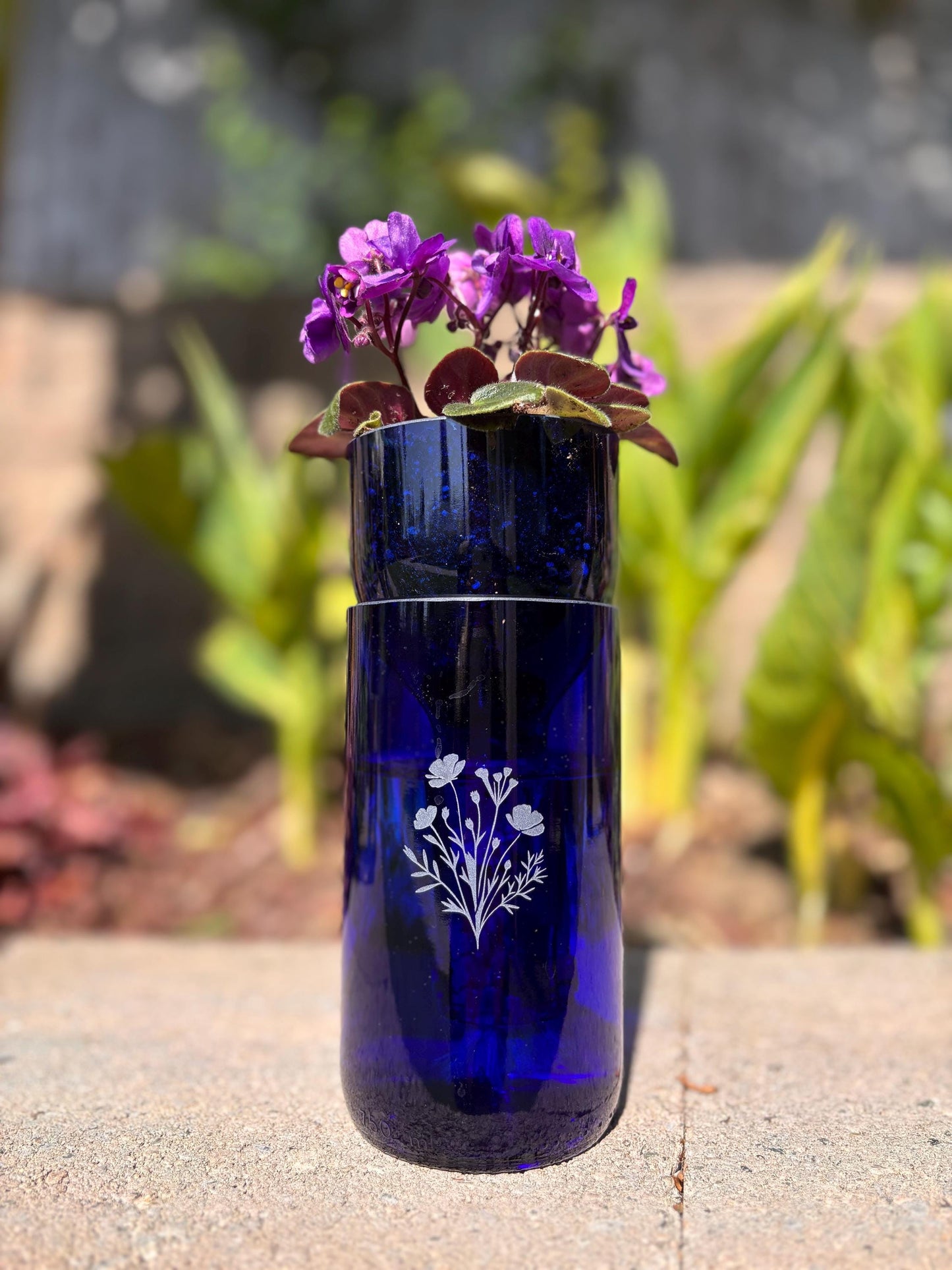 Etched African Violet Wine Bottle Hydro Planter (1) One - (Self Watering) Eco Friendly, Grow Indoors, Eco Planter, DIY Planter Kit