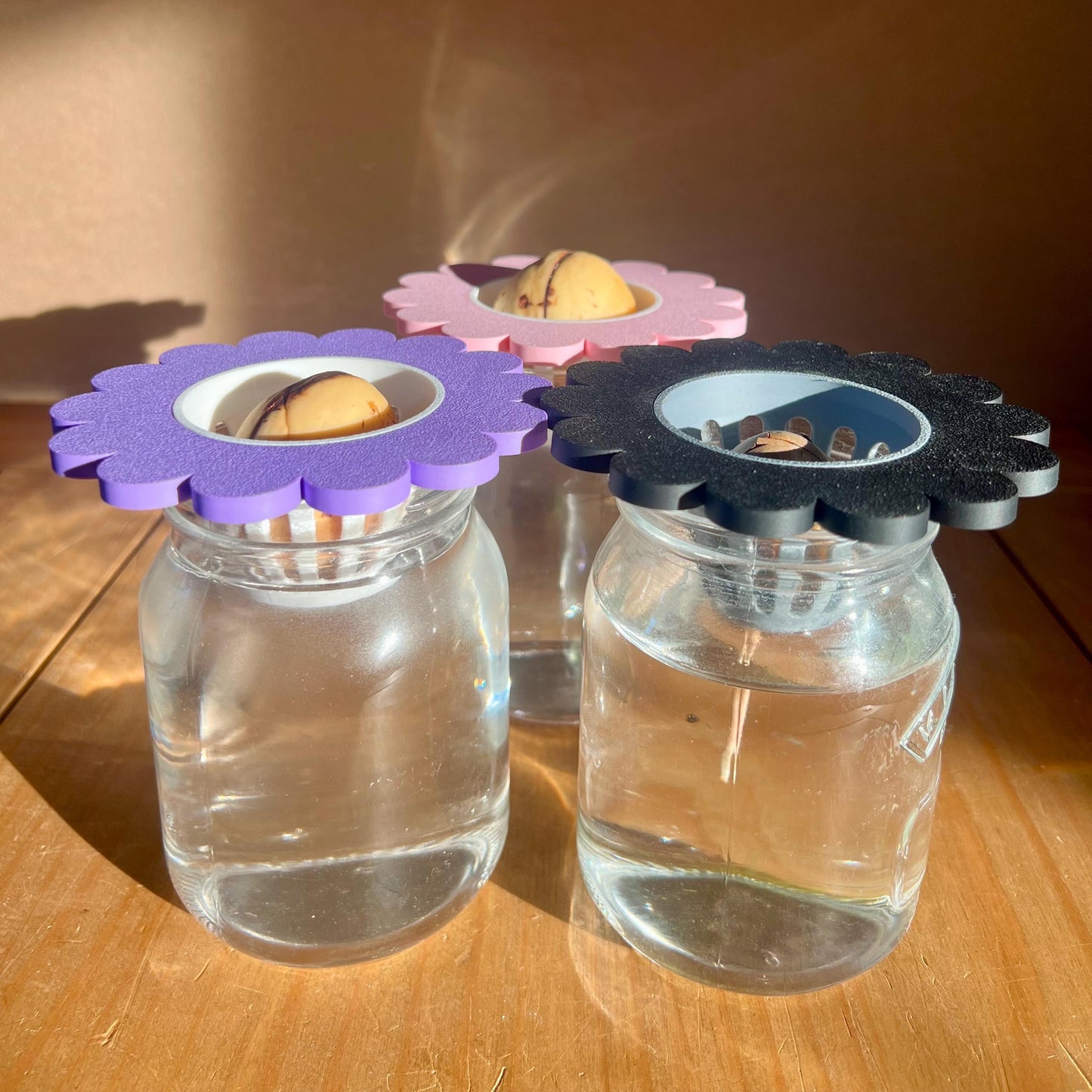 Propagation Cone for Mason Jars | Avocado Seed Sprouter | Cute Flower Lid