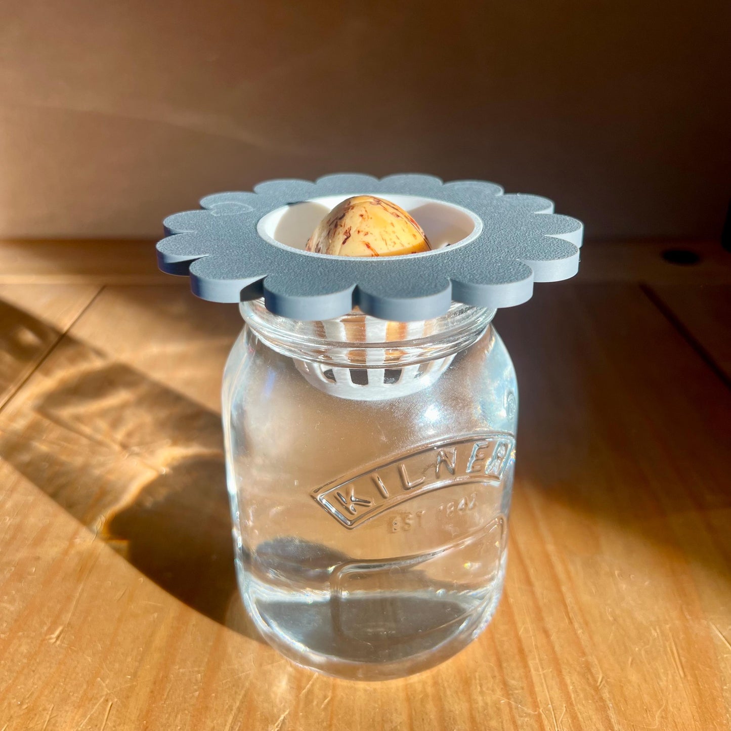 Propagation Cone for Mason Jars | Avocado Seed Sprouter | Cute Flower Lid