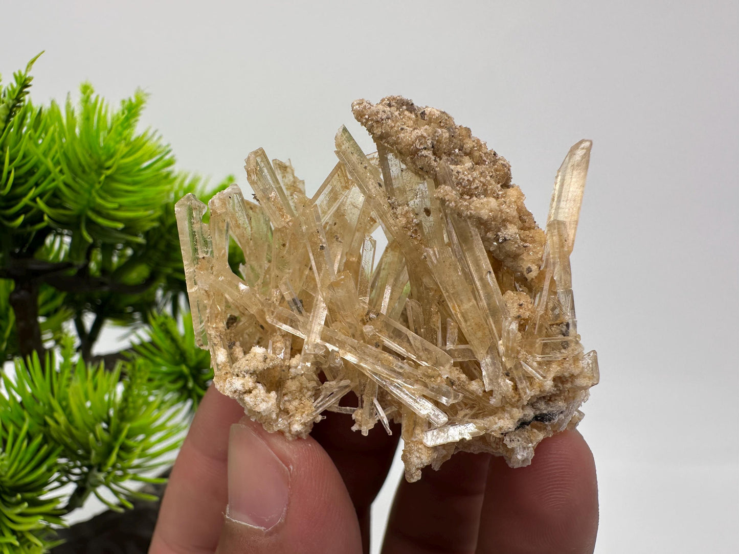 Stunning Gypsum var. Selenite,from Rudna Mine,Poland,Brown Gypsum Selenite,selenite crystal,gypsum,mineral specimen,collection,collectibles