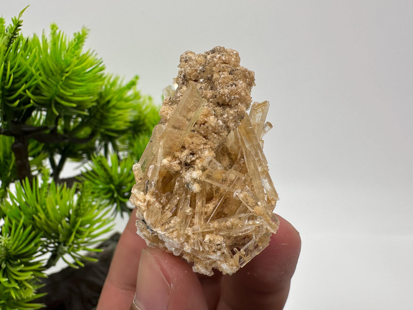 Stunning Gypsum var. Selenite,from Rudna Mine,Poland,Brown Gypsum Selenite,selenite crystal,gypsum,mineral specimen,collection,collectibles
