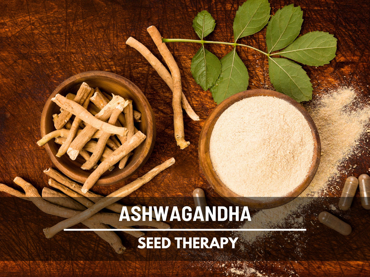 Ashwagandha Seeds – Heirloom Medicinal Herb, Indian Ginseng for Wellness, Apothecary and Therapeutic Gardens | 50 Seeds