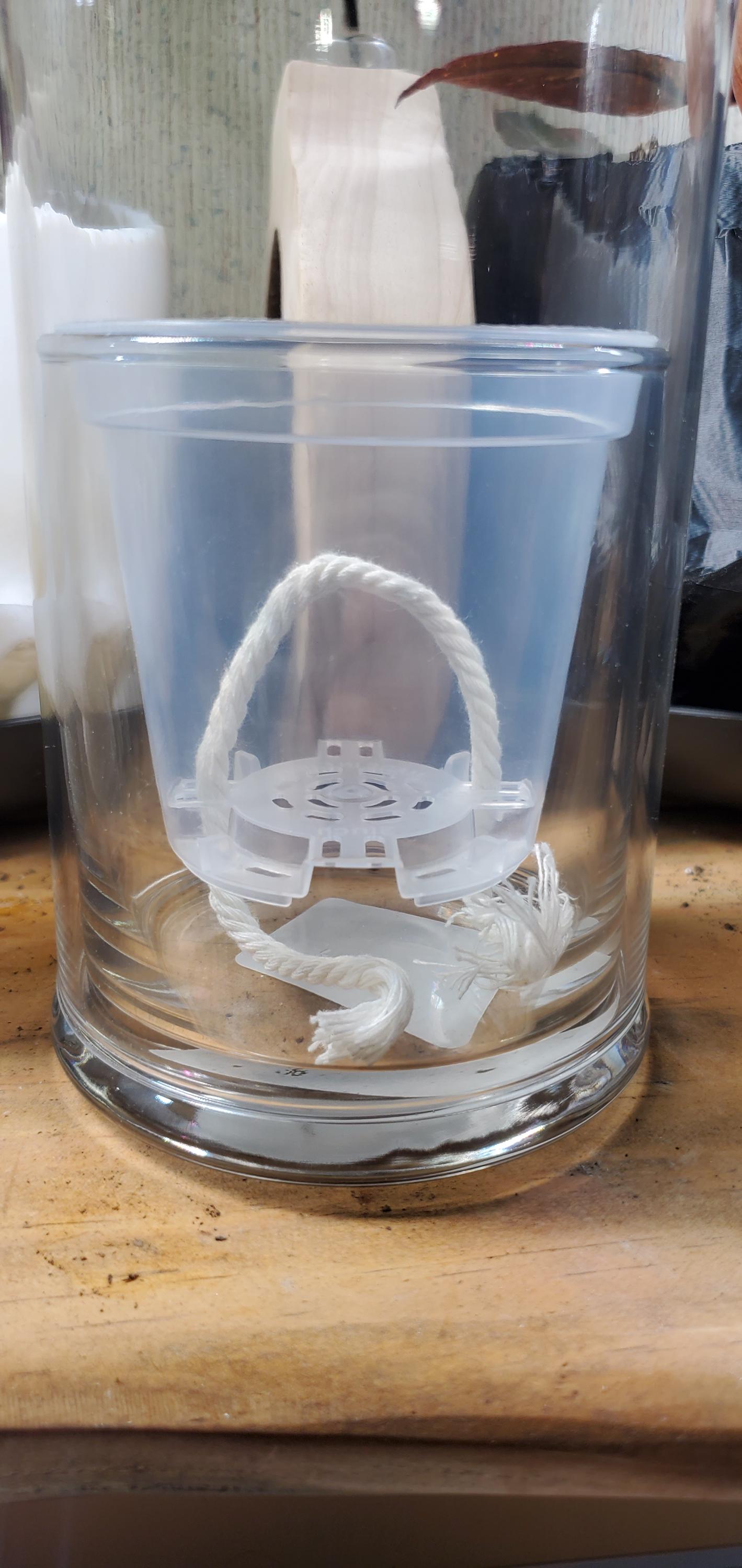 Self Watering Pot with Glass Reservoir and Humidity Dome 8 and 11 inch