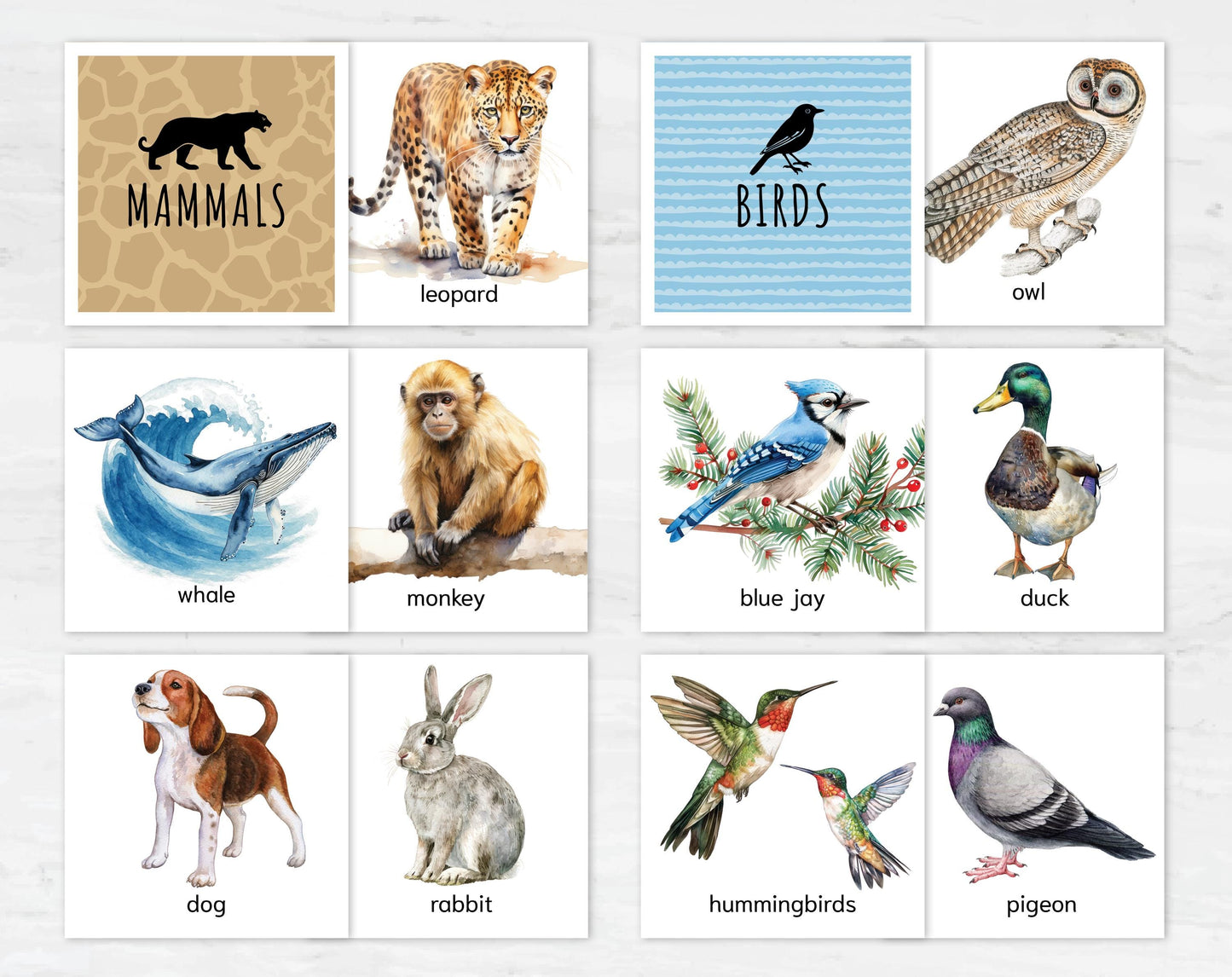 Animal Classification Sorting Cards. Printable Montessori Science Study. BONUS: 6 reference posters.