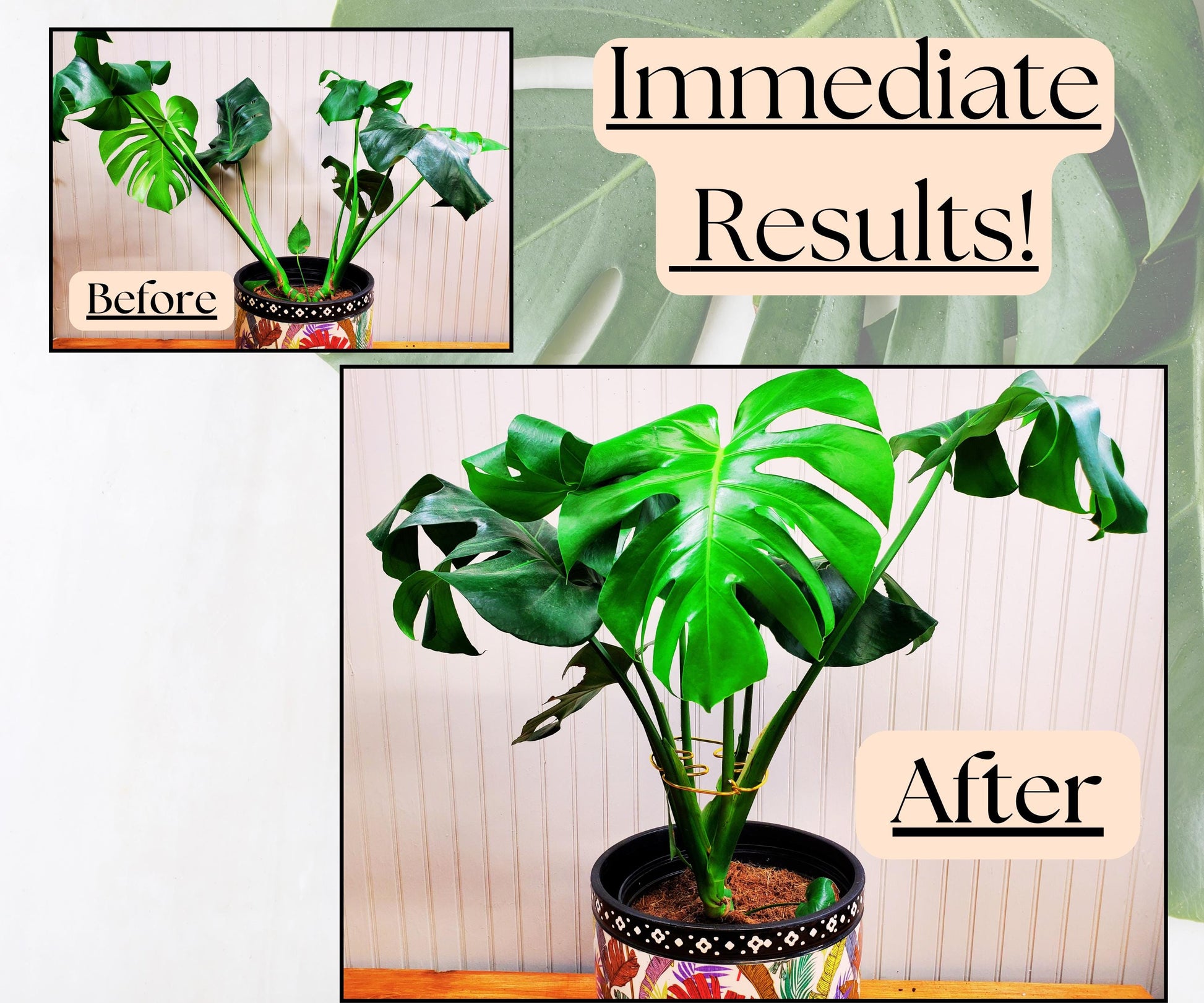 Monstera Leaf Shaped Plant Support, Decorative Home Decor Plant Supports, Cute Indoor Potted Plant Art, Artisan Bohemian Style Plant Trellis