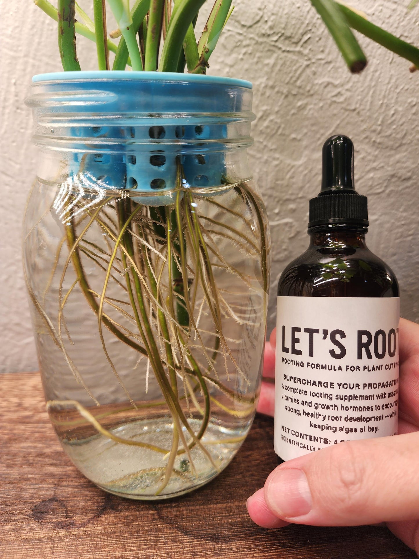Let’s Root Plant Cutting Rooting Formula | 4 oz Bottle | Propagation Supplement for Water, Soil, LECA
