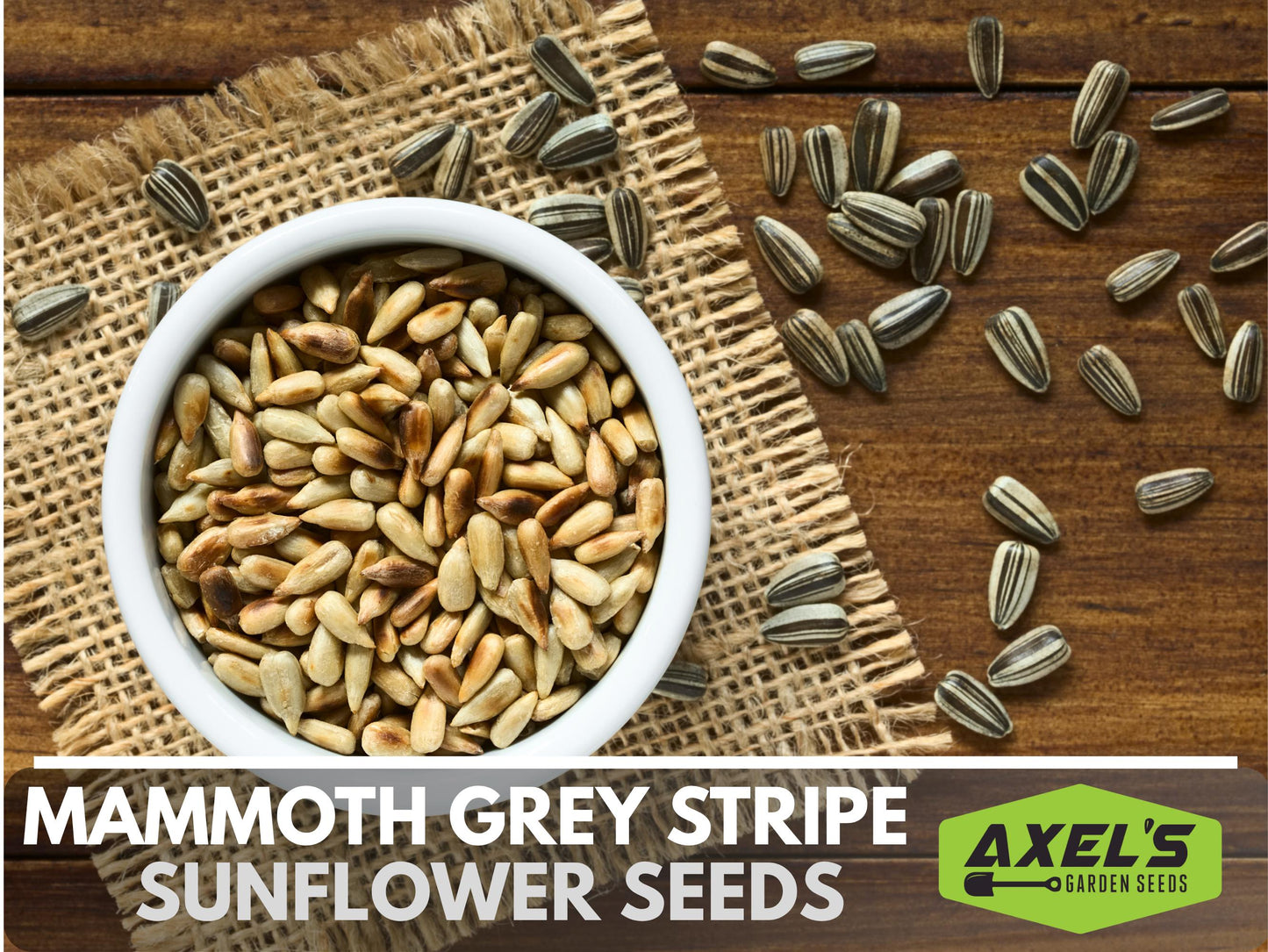 Mammoth Grey Stripe Heirloom Sunflower Seeds - Open Pollinated, Flower Seeds, Non-GMO