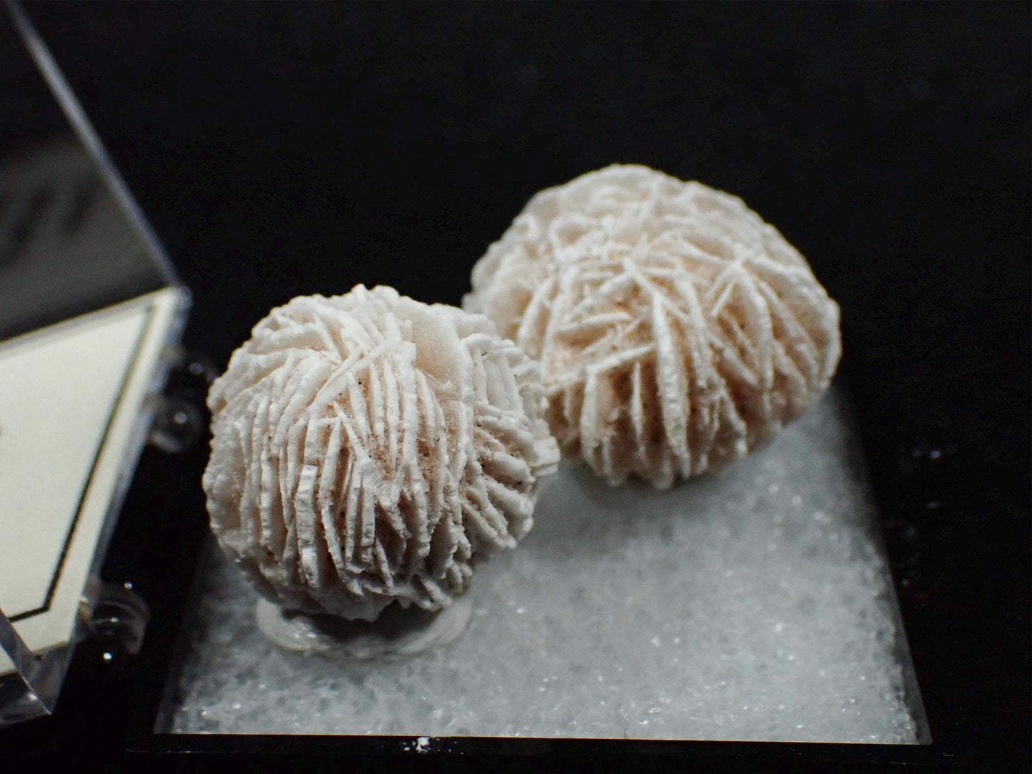 Desert Rose Selenite from Mexico. Crystal. Gypsum. Thumbnail mineral specimen.