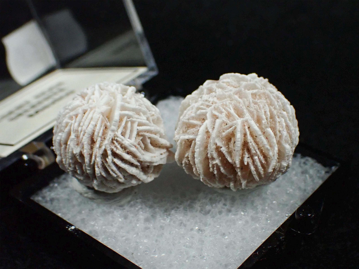 Desert Rose Selenite from Mexico. Crystal. Gypsum. Thumbnail mineral specimen.