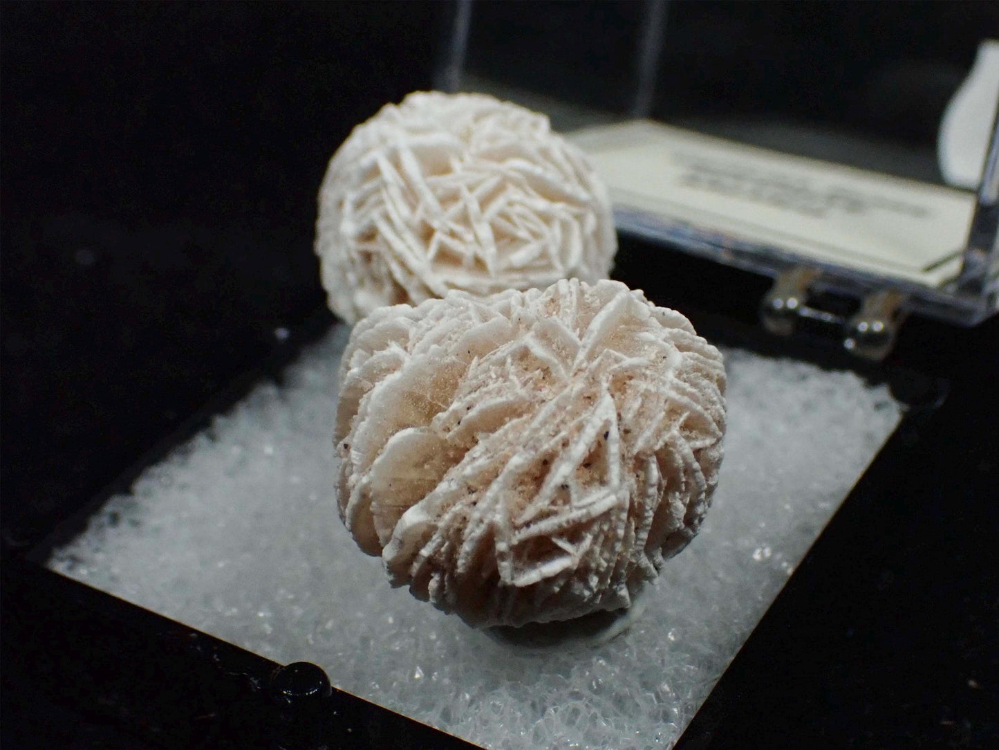 Desert Rose Selenite from Mexico. Crystal. Gypsum. Thumbnail mineral specimen.
