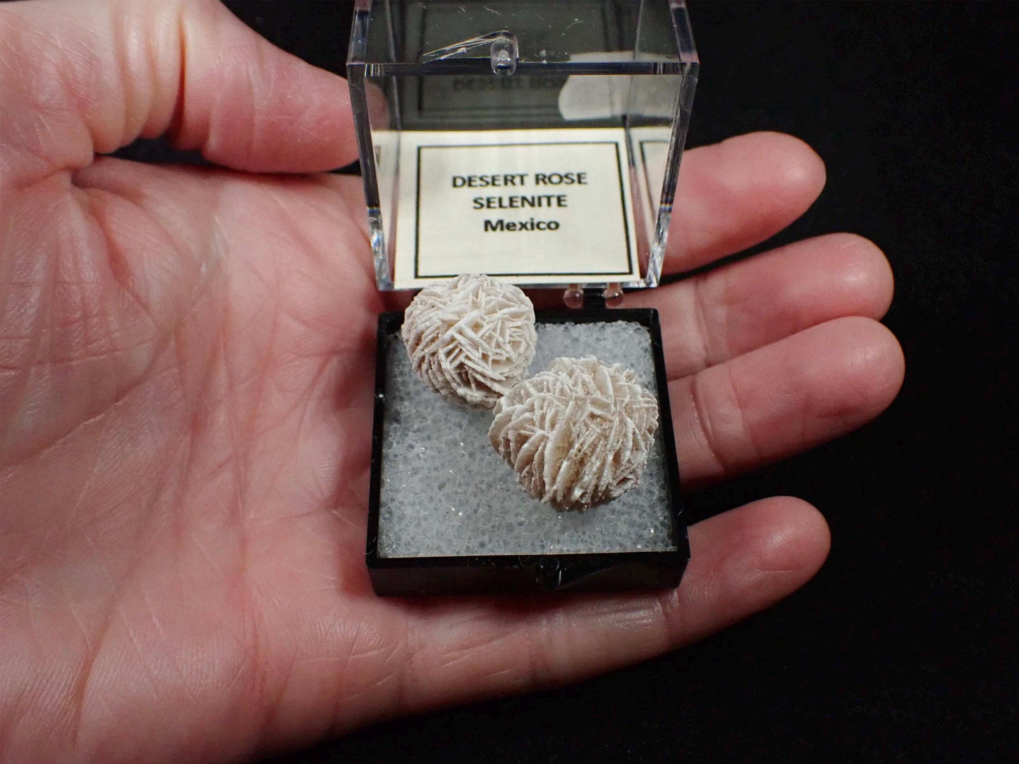 Desert Rose Selenite from Mexico. Crystal. Gypsum. Thumbnail mineral specimen.