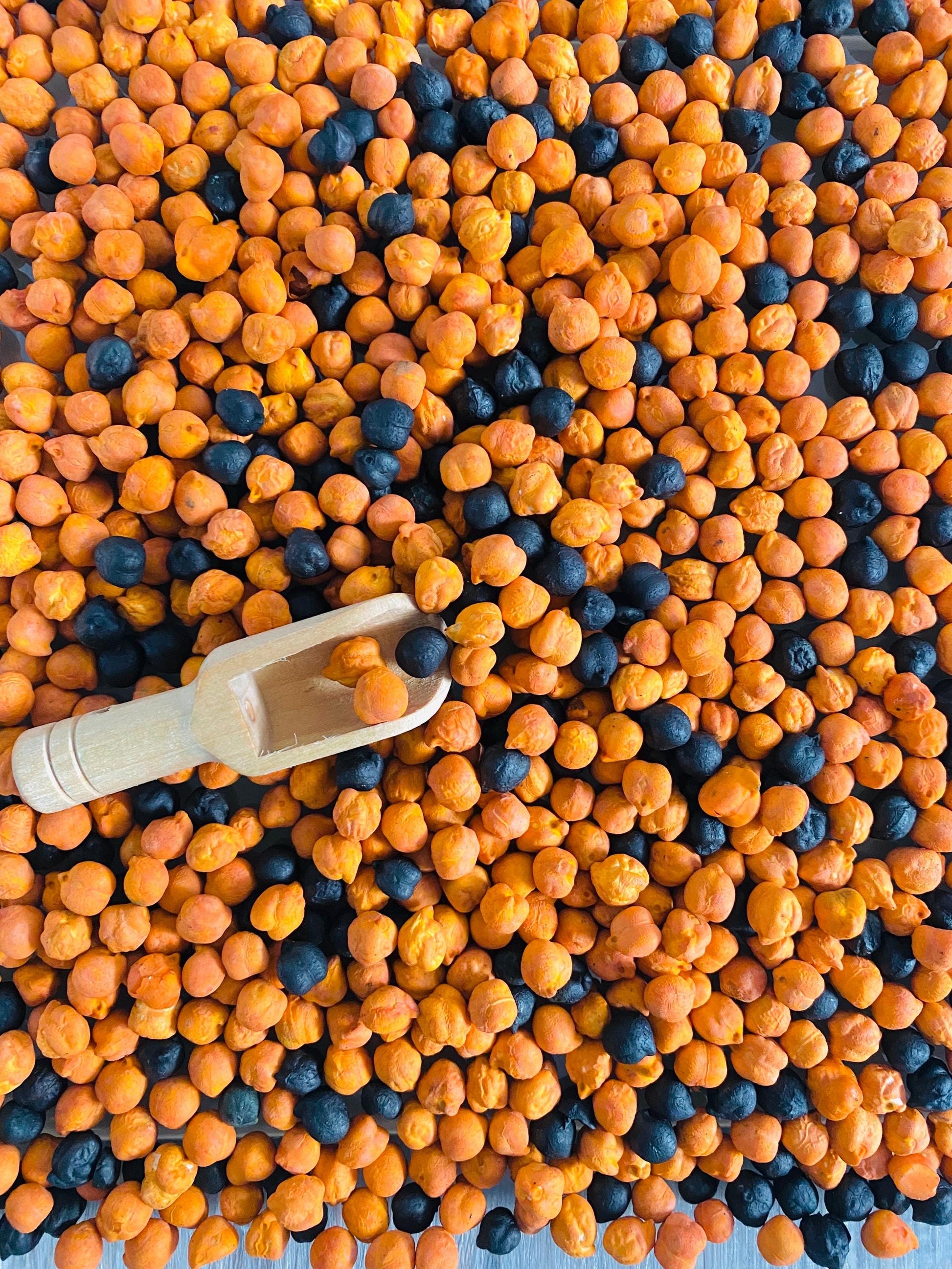 Sensory Bin Filler-Colored Chickpeas with scoop-choose your color!