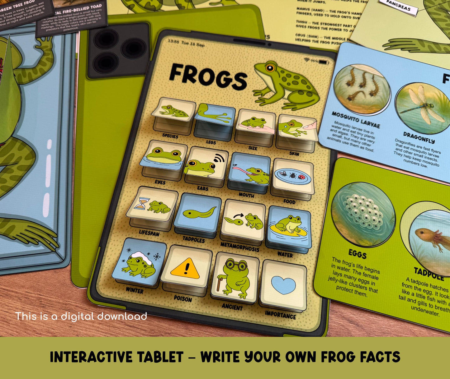Frog Study Pack, Worksheets for Kids, Frog Life Cycle Printable, Anatomy Activities, Montessori Science Unit, Homeschool Nature Study