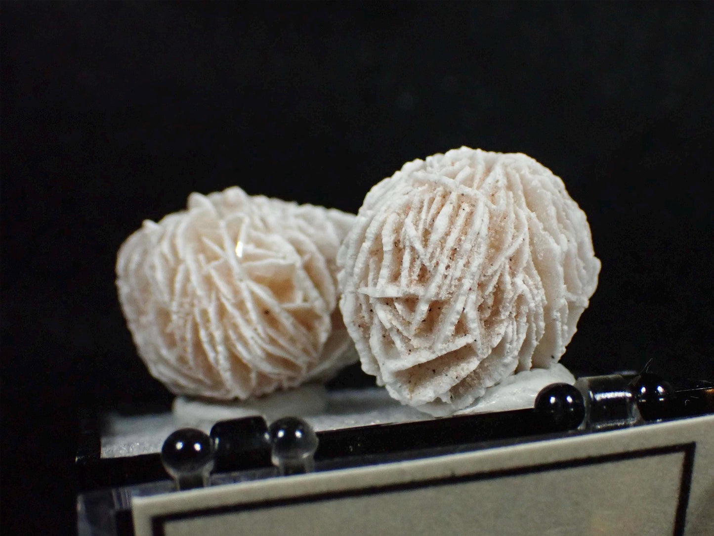 Desert Rose Selenite from Mexico. Crystal. Gypsum. Thumbnail mineral specimen.