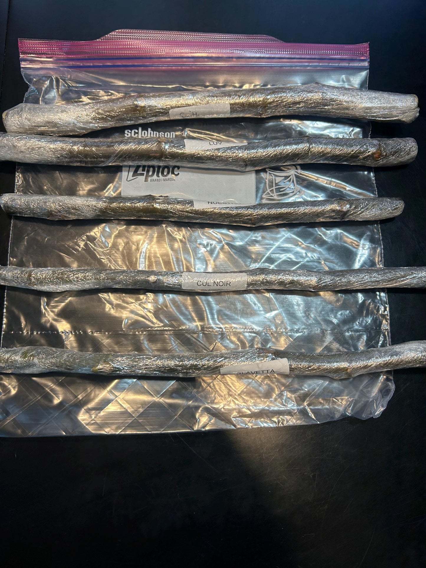 Fig Cuttings (Celeste, Brown Turkey, Lebanese Red, Chicago Hardy, Kadota, Peter's Honey)